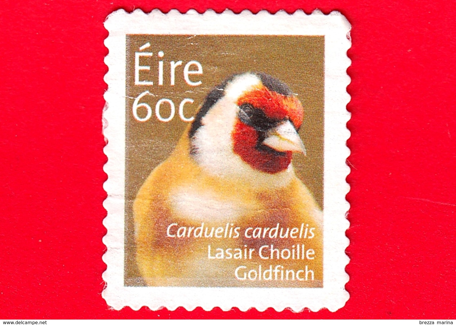 IRLANDA - EIRE - Usato - 2013 - Animali - Uccelli - Cardellino - (Carduelis Carduelis) - 60 - Used Stamps