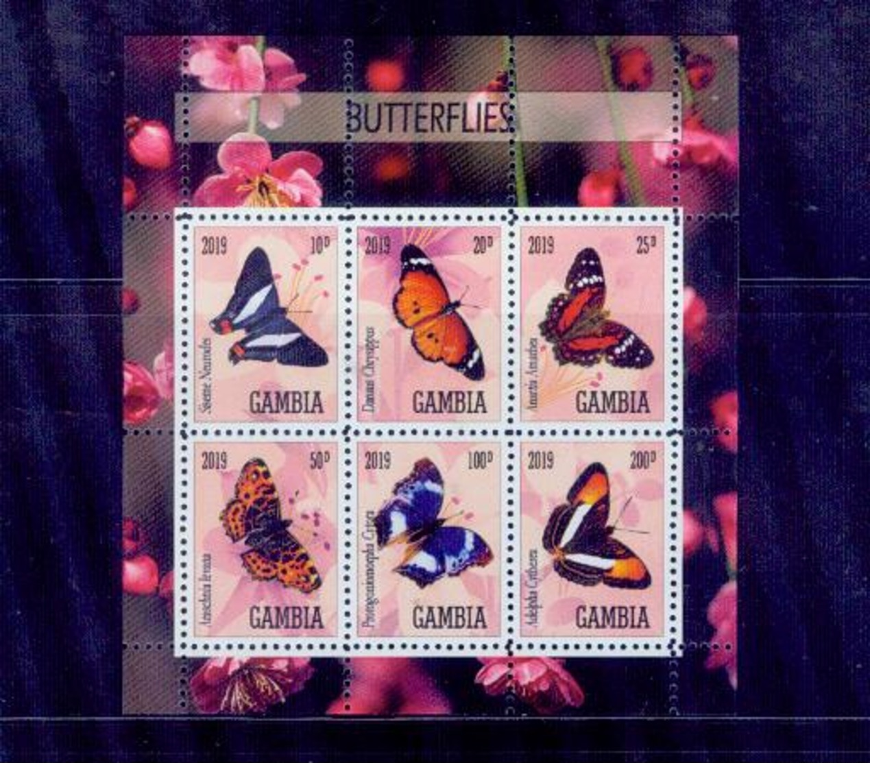 Gambia / 2019 Rare Butterflies Series /mnh.good Condition - Farfalle