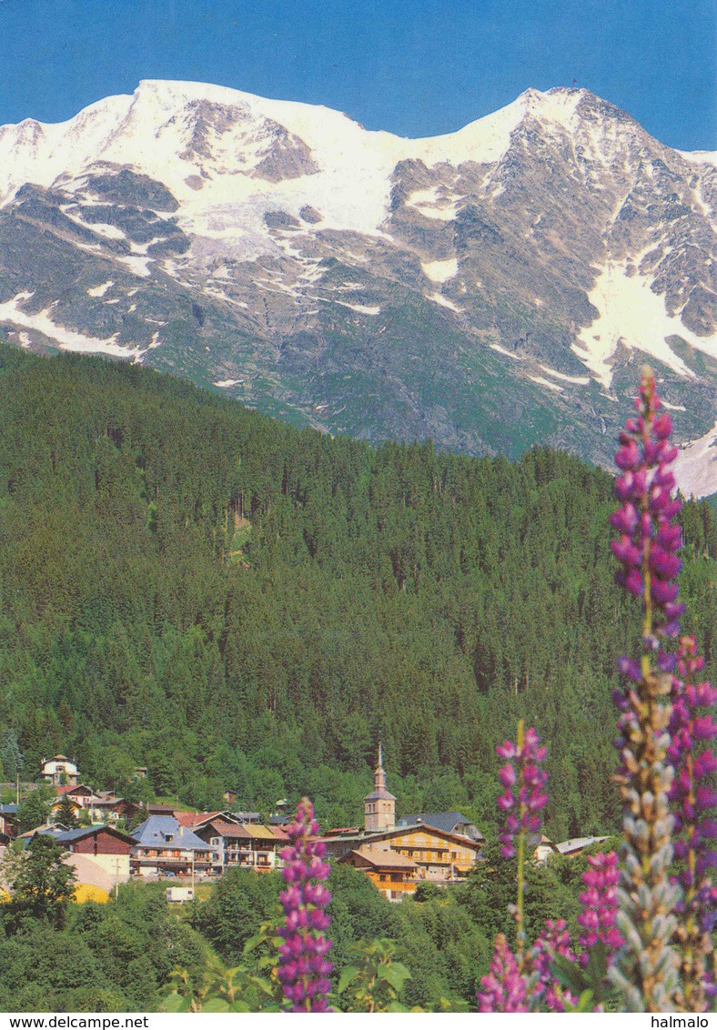 LES CONTAMINES-MONTJOIE - Dôme Du Miage Et Aiguille De La Bérangère  (20347) - Contamine-sur-Arve