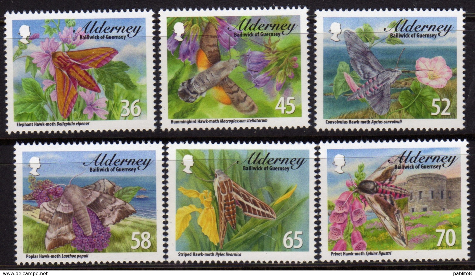 ALDERNEY 2010 INSECTS INSETTI COMPLETE SET SERIE COMPLETA MNH - Alderney