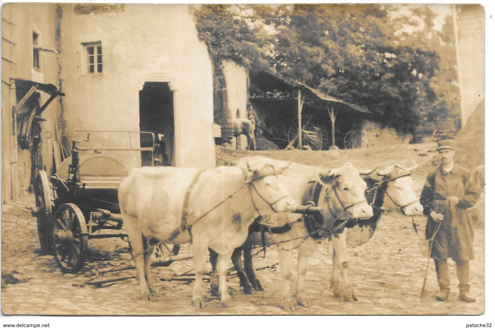 Carte-photo.....cour De Ferme ...attelage De Trois Boeufs......animée... - Fermes