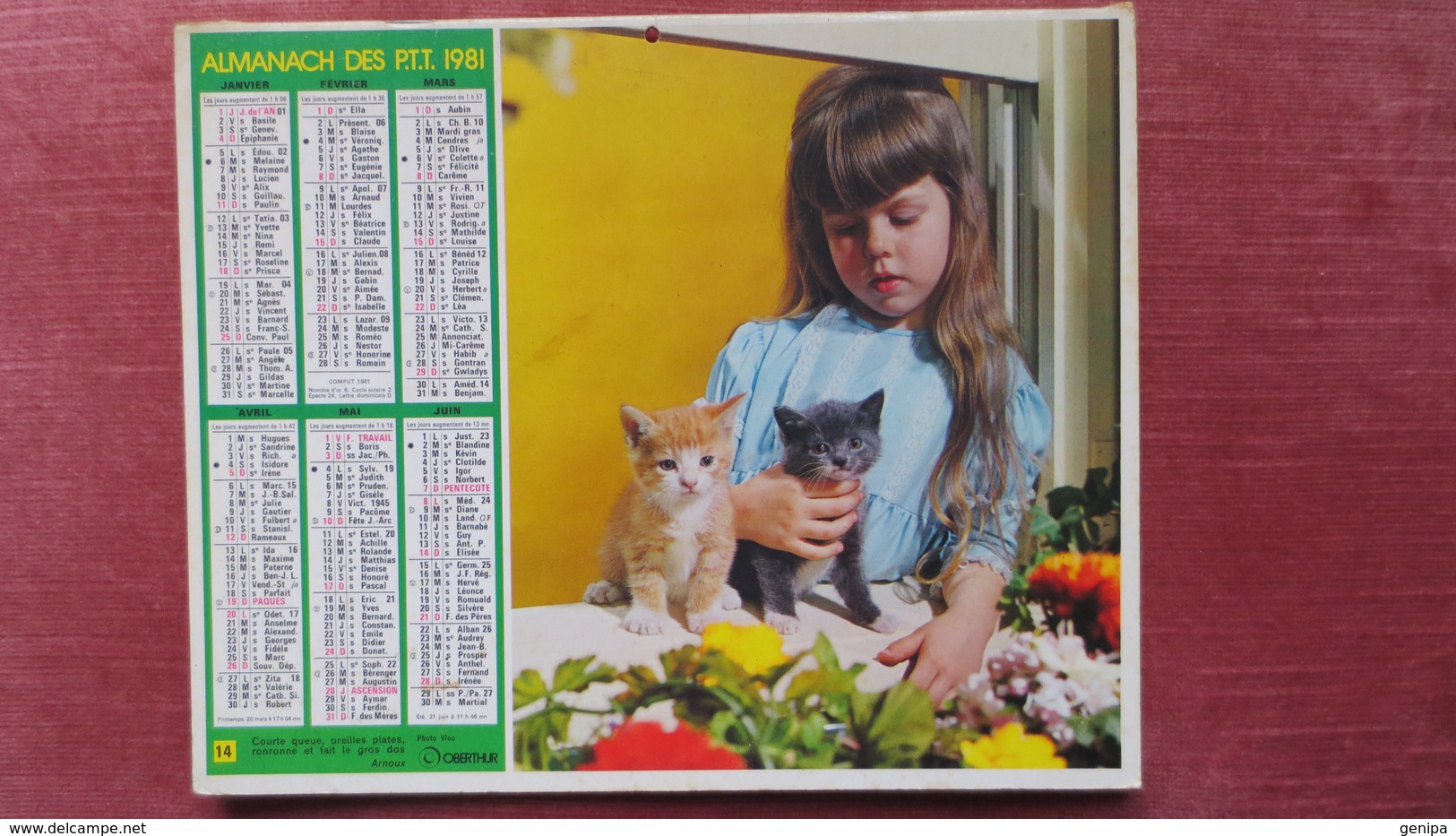 ALMANACH DES P.T.T. 1981 - Tamaño Grande : 1981-90