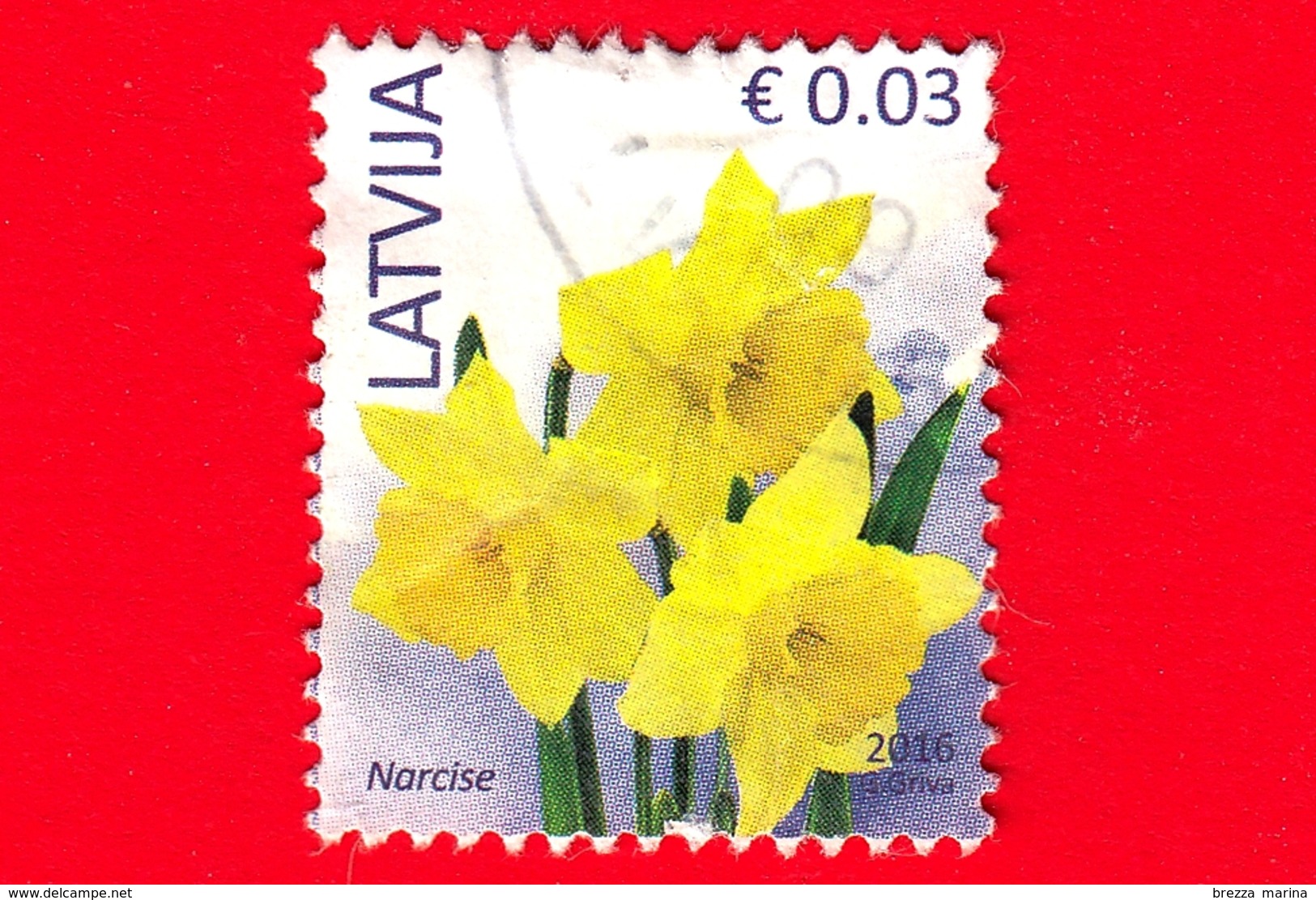 LETTONIA - LATVIJA - Usato - 2016 - Fiori - Narciso - Wild Daffodil (Narcissus Pseudonarcissus) - 0.03 - Lettonia