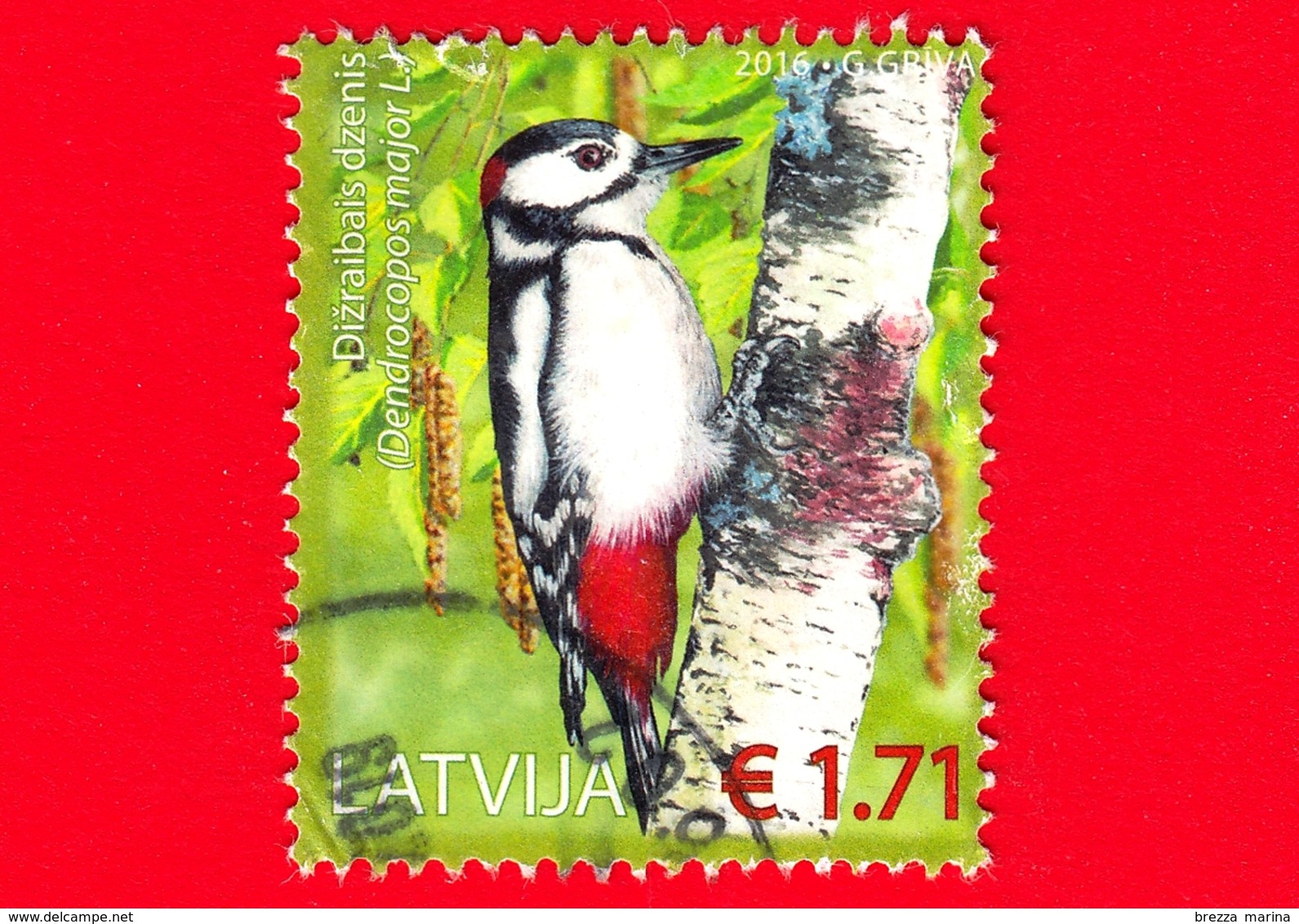 LETTONIA - LATVIJA - Usato - 2016 - Uccelli - Picchio - Great Spotted Woodpecker (Dendrocopos Major) - 1.71 - Lettonia