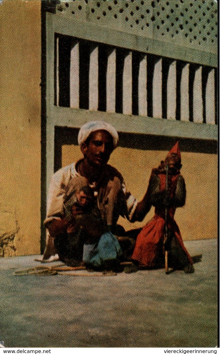 ! 1969 Postcard From Dubai, United Arab Emirates, Trucial States, Monkeys, Karachi, Ship MS Carola Reith - Dubai