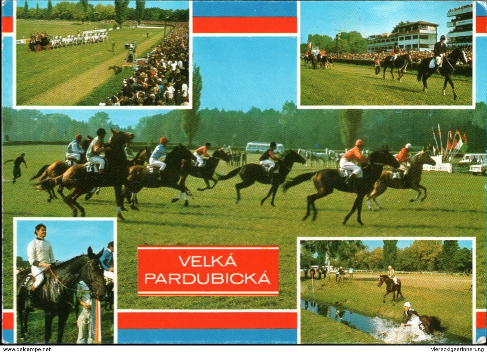 !  Modern Postcard Velka Pardubicka, Pferde, Cheval, Horses, Horse Race - Pferde