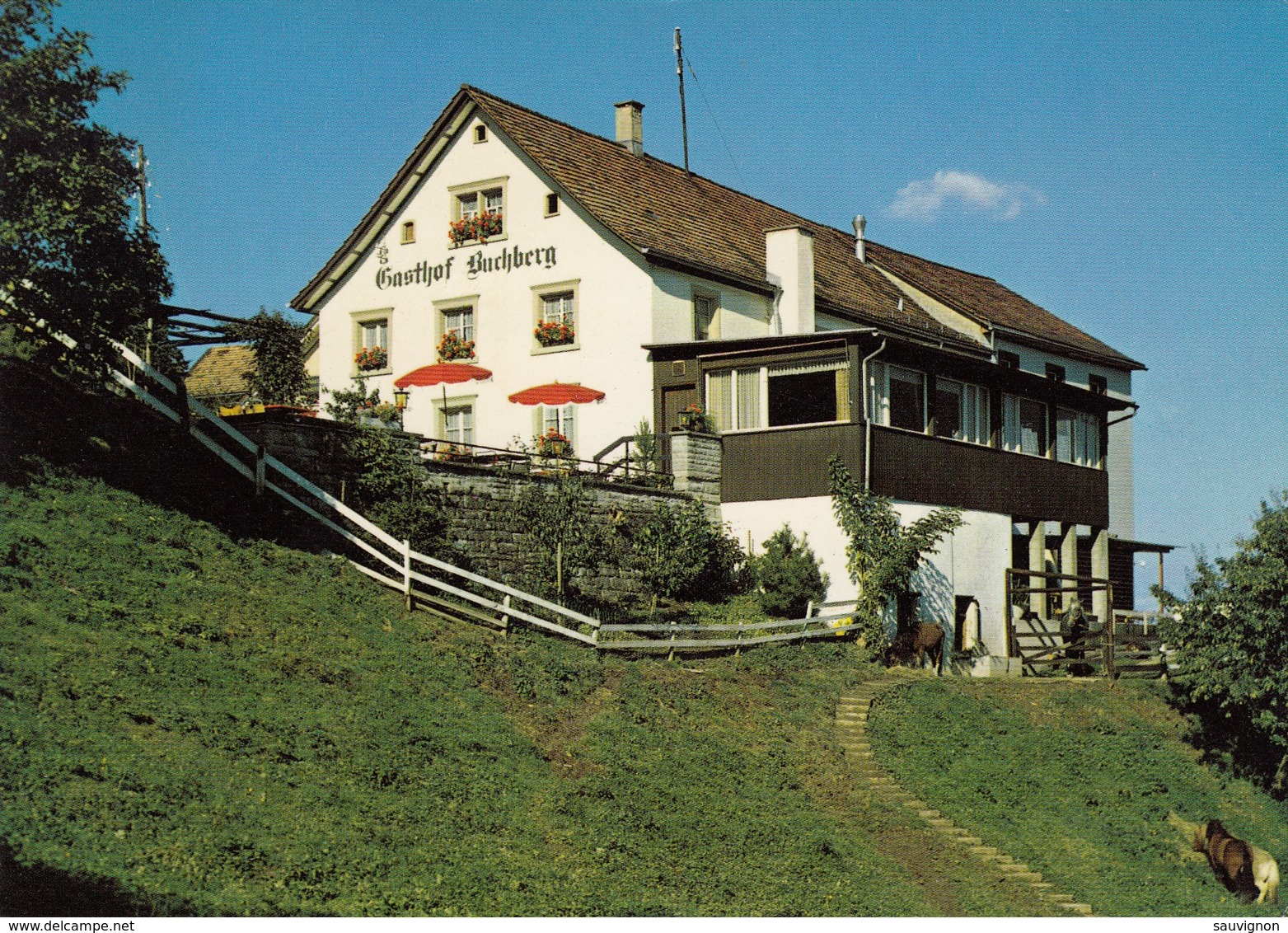 BUECHEN-STAAD, Um 1970. Gasthaus Buchberg, Um 1975 - Berg