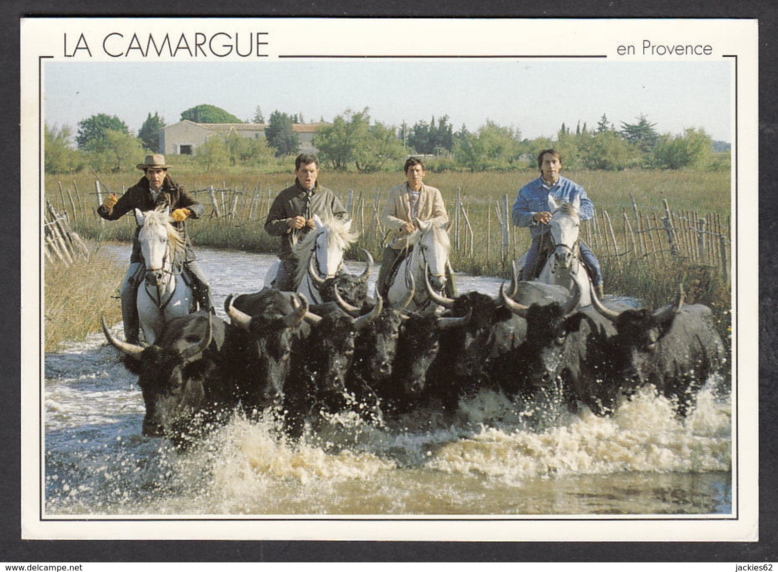 65981/ CAMARGUE, Gardians Et Taureaux - Autres