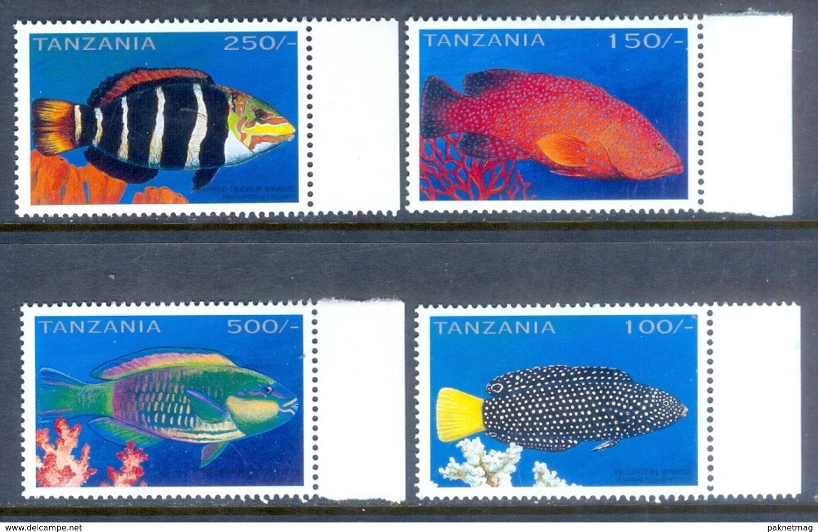 D66- Tanzania 1996 Fish. Sea Life. Marine Life. - Pesci