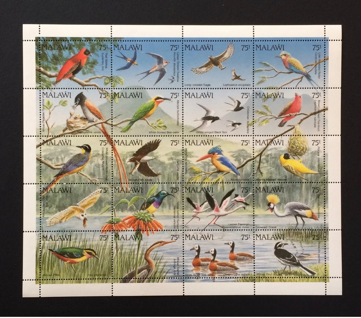 Malawi 1992; Animals & Fauna; Birds; MNH / ** VF; CV €60 !! - Verzamelingen, Voorwerpen & Reeksen