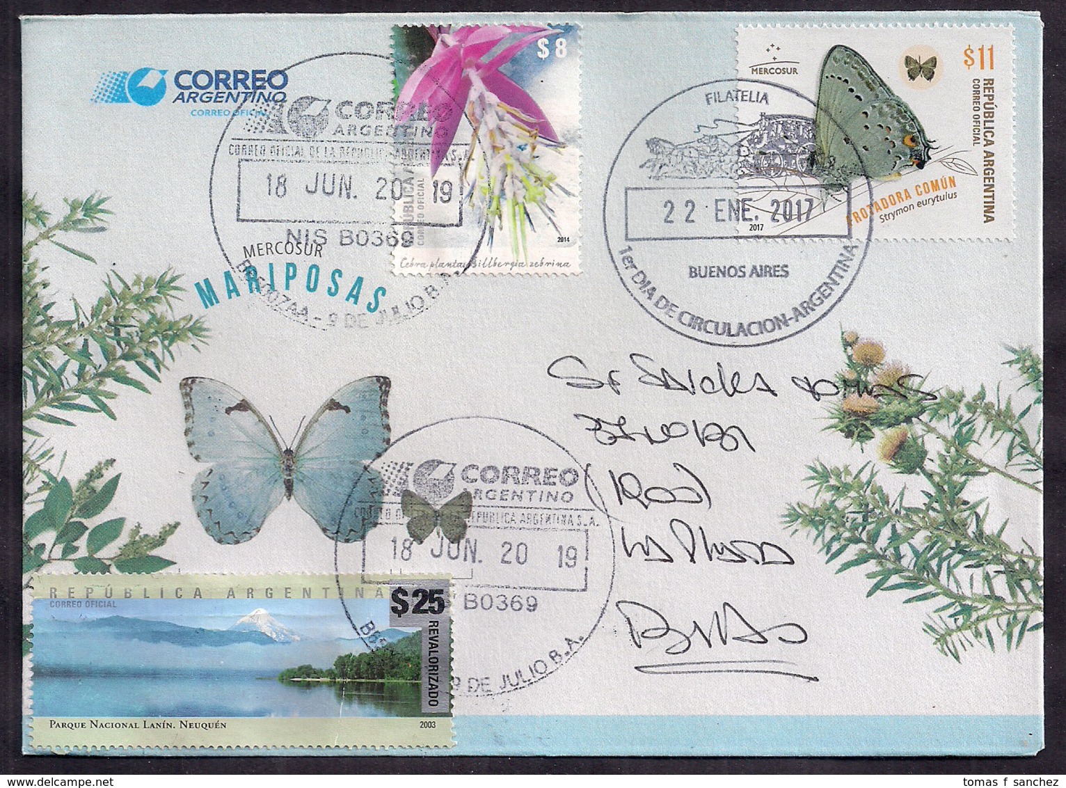 Argentina - 2018 - Papillons, Fleurs Et Paysages De L'Argentine - Lettre Décorée - Briefe U. Dokumente