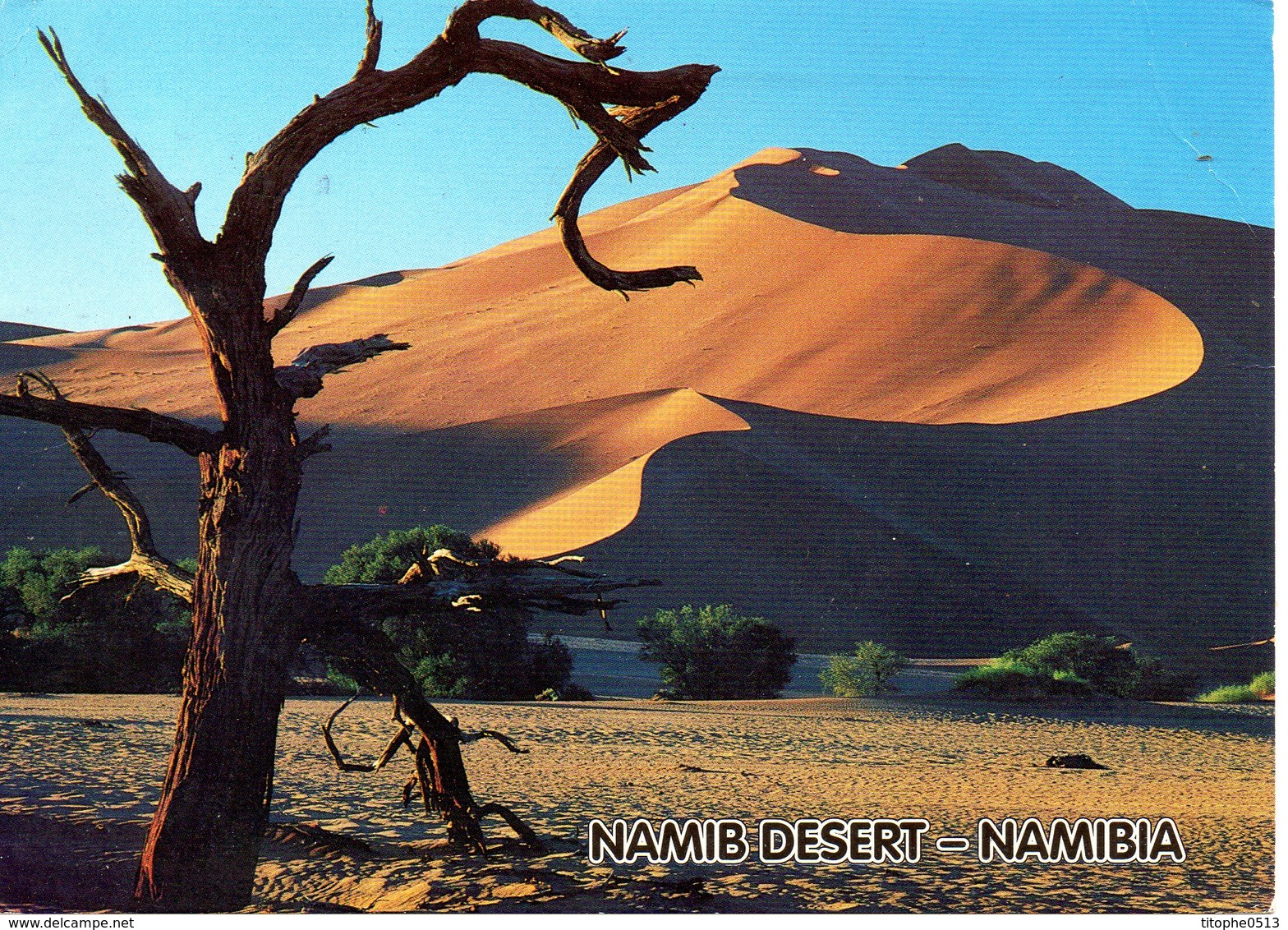 NAMIBIE. Carte Postale écrite En 1997. Désert Du Namib. - Namibie