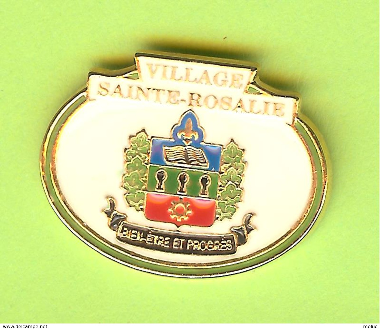 Pin's Ville Du Québec Sainte-Rosalie - 4FF27 - Ciudades