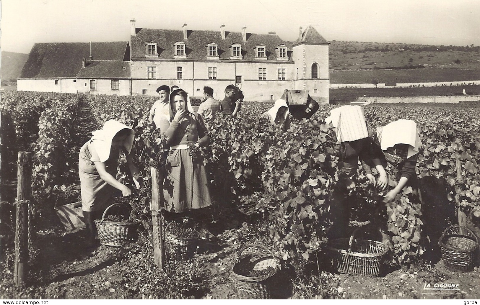 *CPM - 21 - VOUGEOT - Vendanges Au Château Du Clos Vougeot - Autres & Non Classés