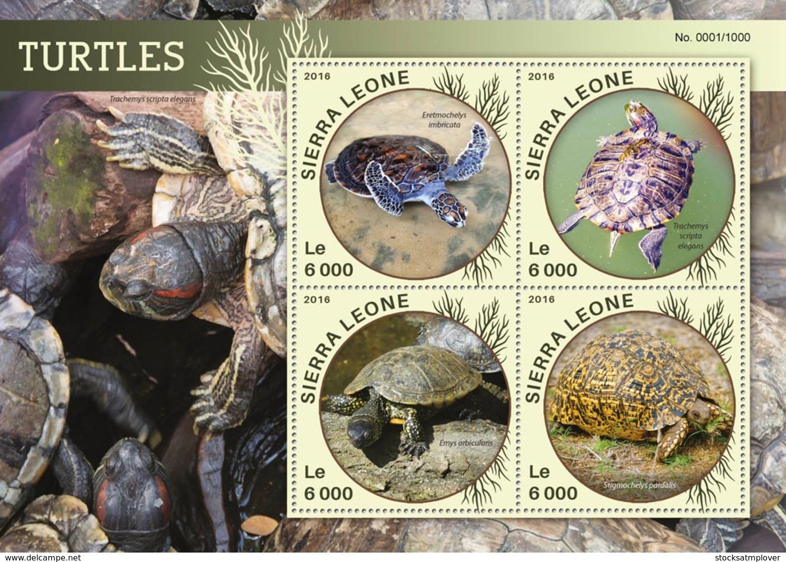 Sierra Leone   2016  Fauna  Turtles - Sierra Leone (1961-...)