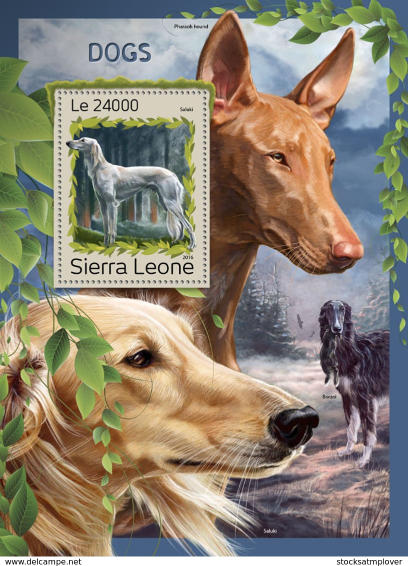 Sierra Leone 2016 Fauna Dogs - Sierra Leone (1961-...)