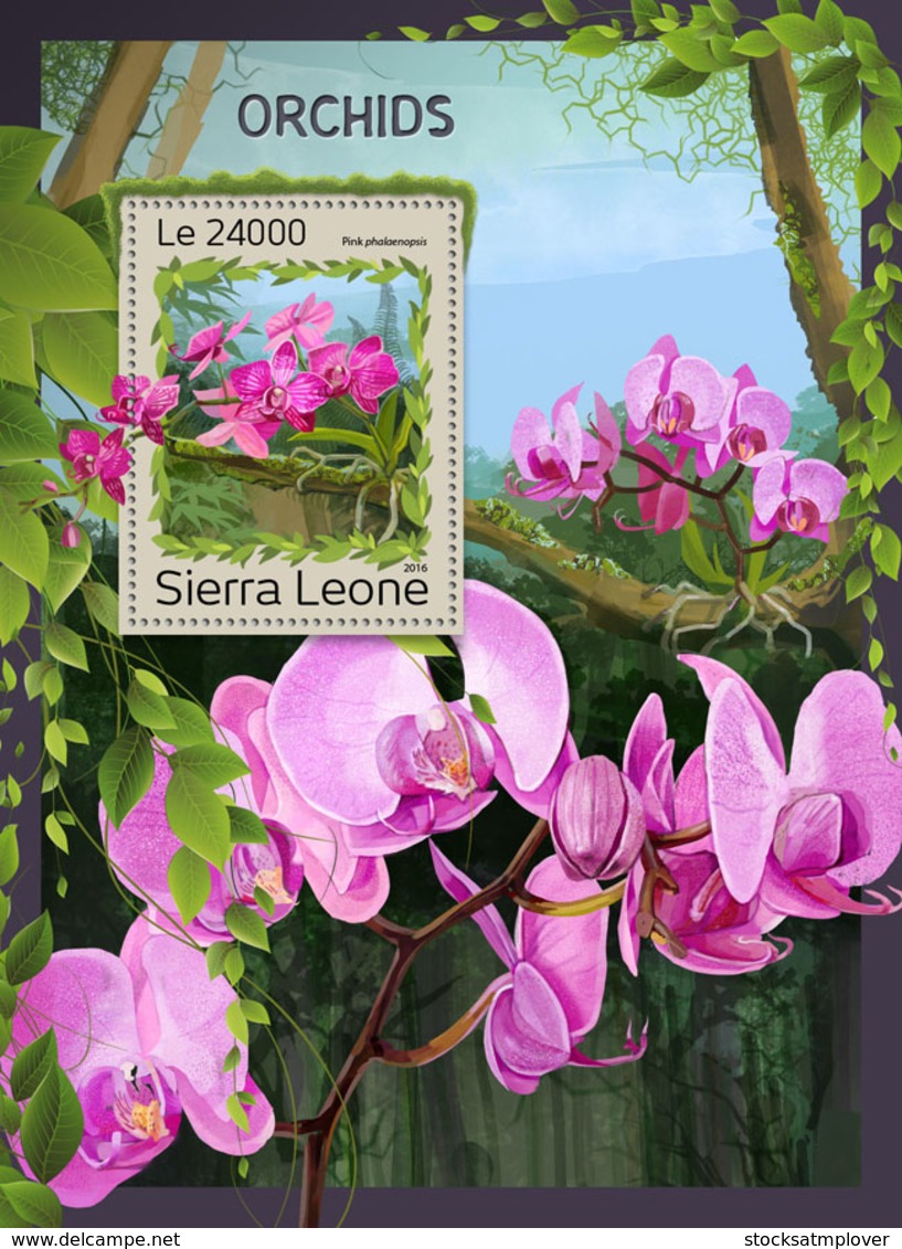 Sierra Leone 2016  Orchids - Sierra Leone (1961-...)