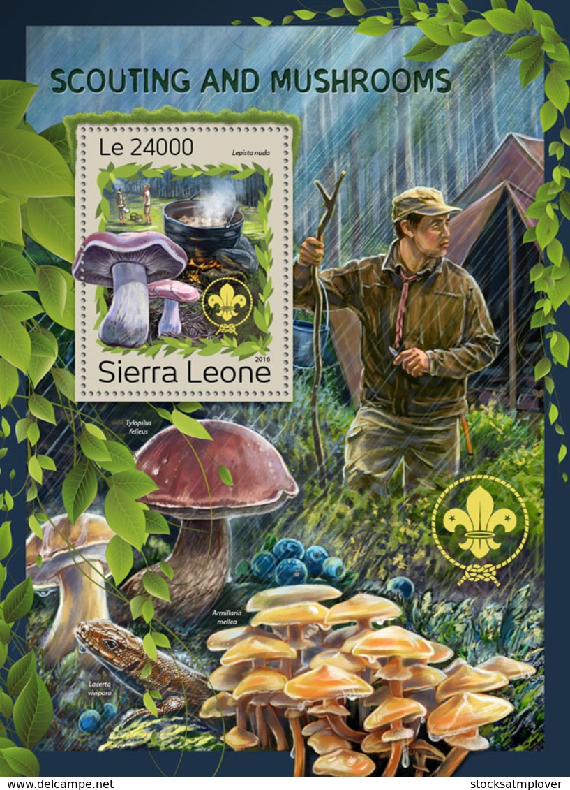 Sierra Leone 2016   Scouting & Mushrooms - Sierra Leone (1961-...)
