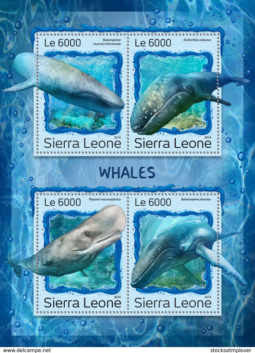 Sierra Leone 2016 Fauna Whales - Sierra Leone (1961-...)