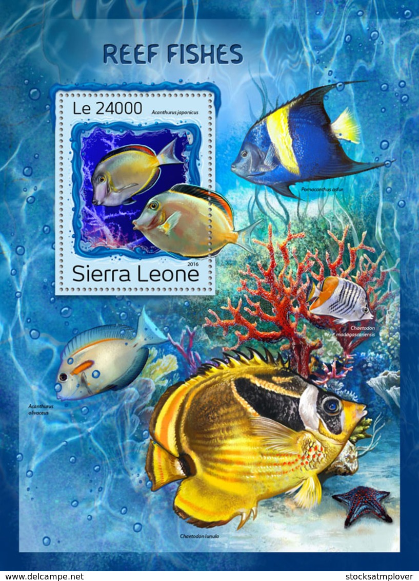 Sierra Leone 2016 Fauna Reef Fishes - Sierra Leone (1961-...)