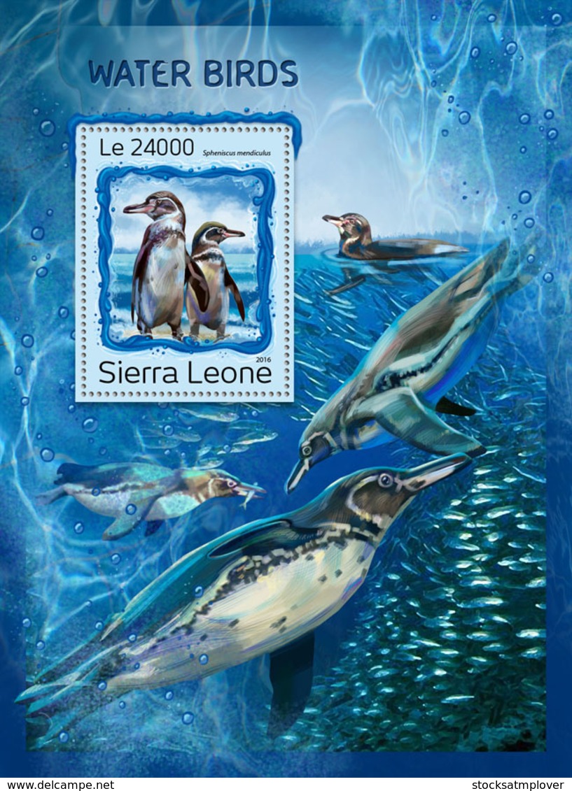 Sierra Leone 2016 Fauna Water Birds, Penguins - Sierra Leone (1961-...)