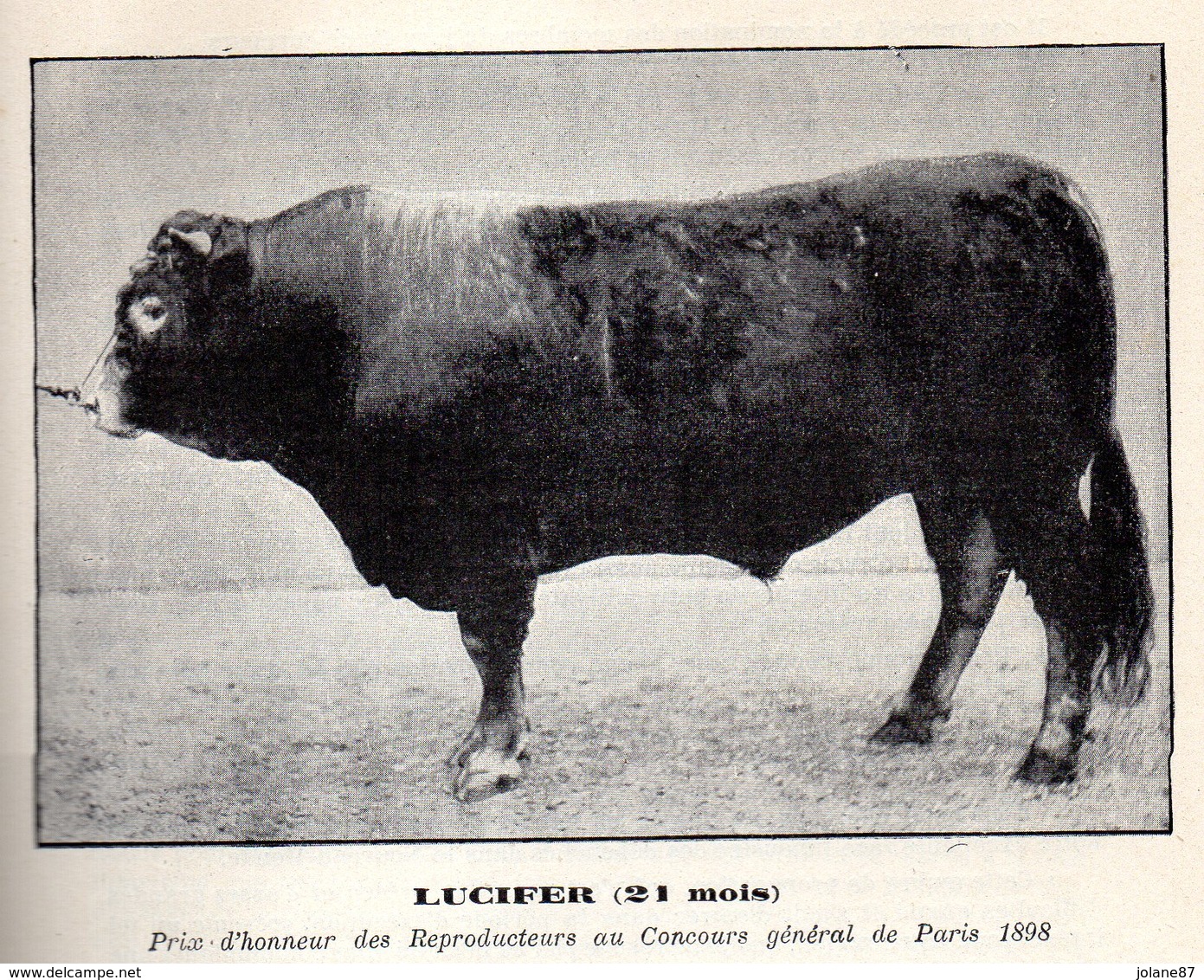 BULLETIN SOCIETE AGRICULTURE DES SCIENCES ET ARTS     HAUTE VIENNE  1887 1898   LIMOGES    TOME 26