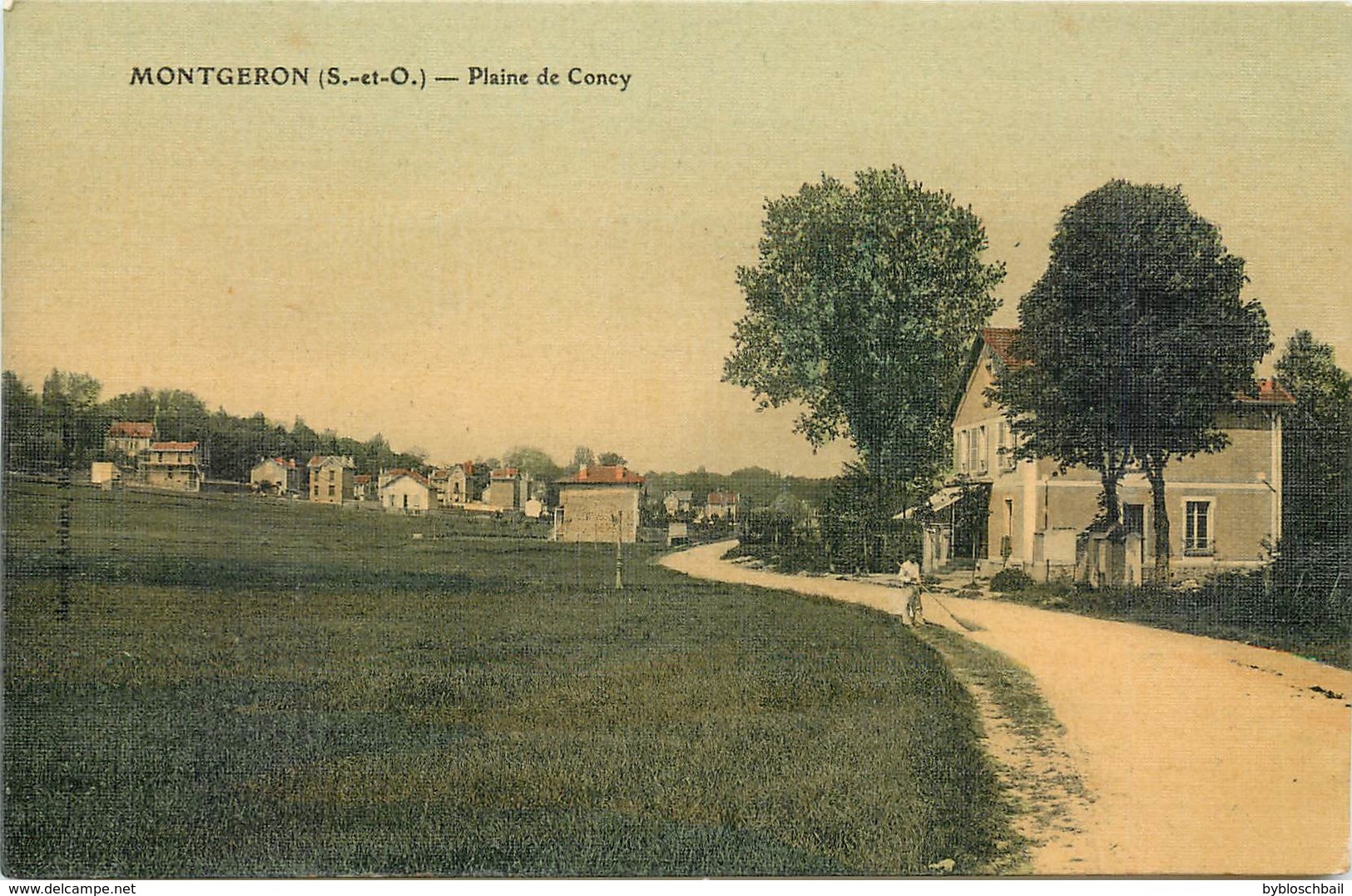 CPA 91 Seine Et Oise Essonne Montgeron Plaine De Concy Colorisée Non Circulée Carte Toilée - Montgeron