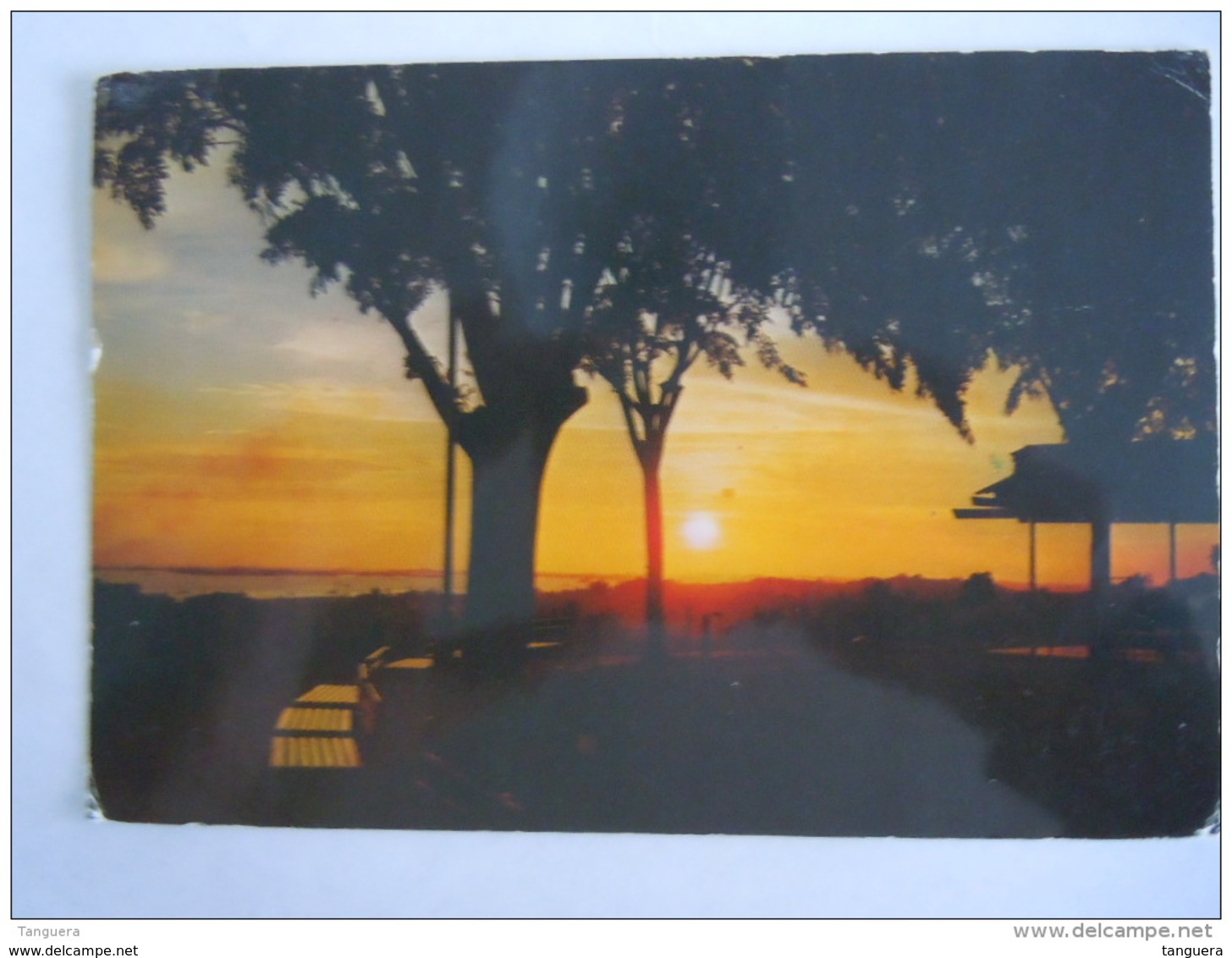 Singapore Mount Faber Sun-set Used Circulée Verstuurd 1984 Afzender Shell Tankers - Singapore