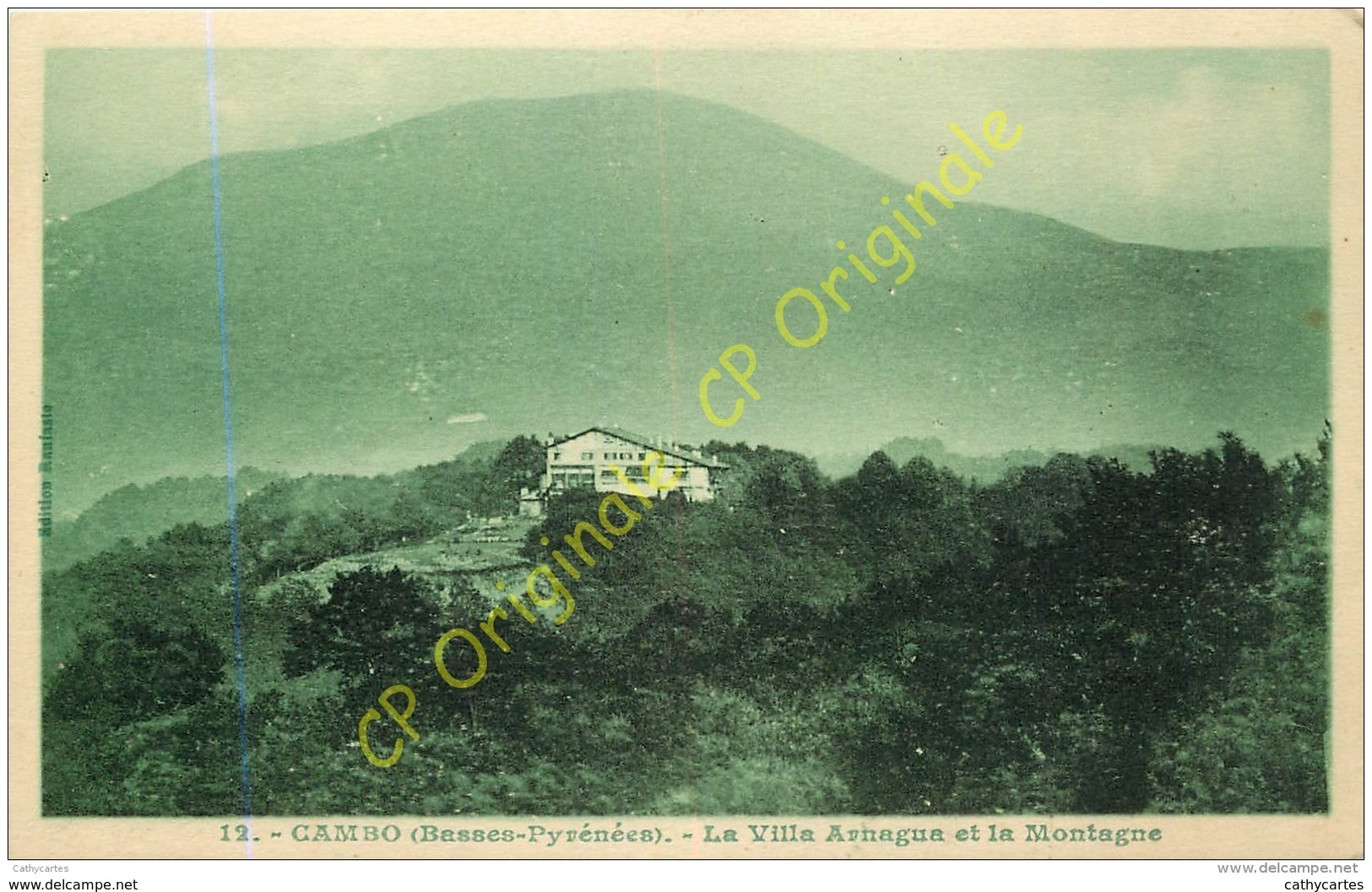 64.  CAMBO . La Villa Arnagua Et La Montagne . - Cambo-les-Bains