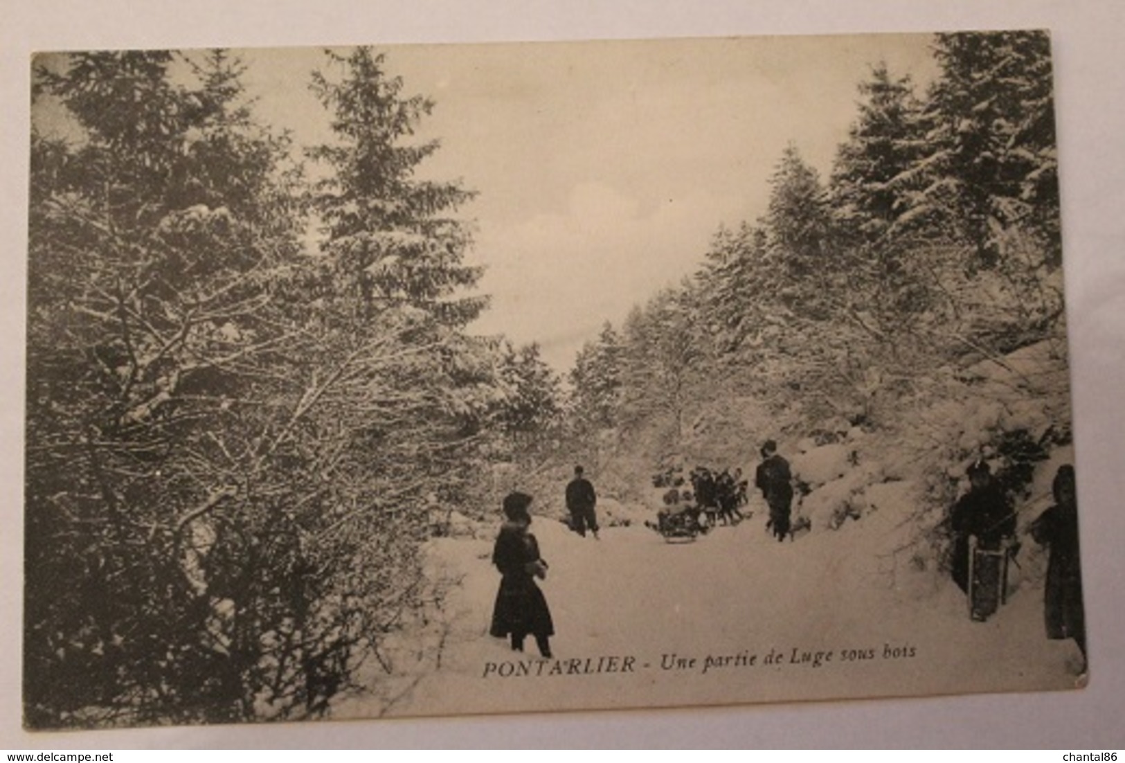 Pontarlier 25300 Une Partie De Luge Sous Bois 000CP01 - Pontarlier