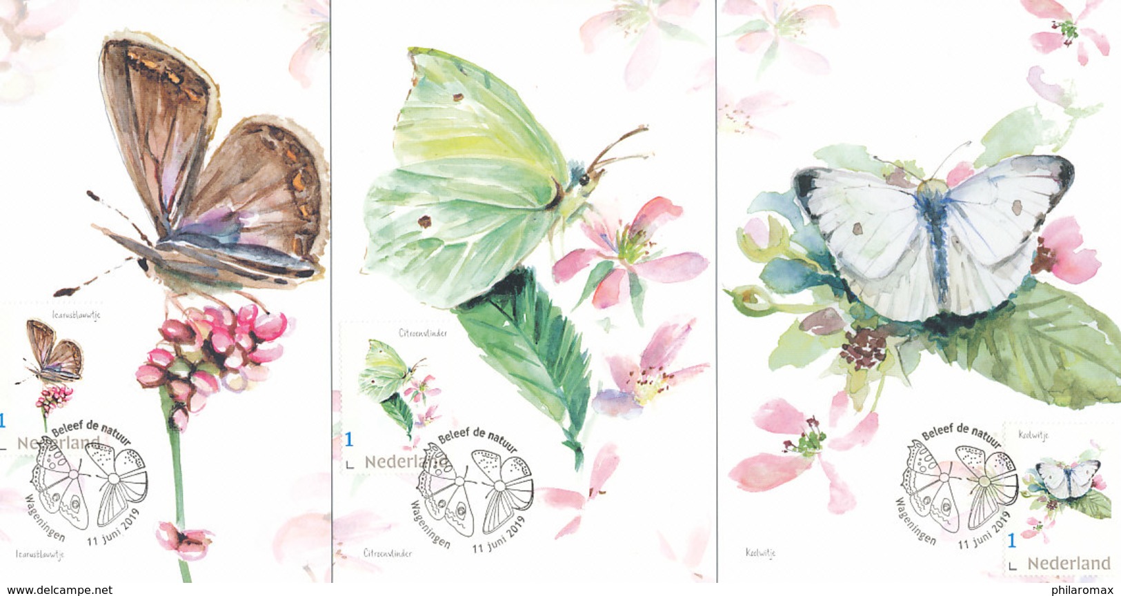 D37471 - 3 CARTES MAXIMUM CARDS RRR 2019 NETHERLANDS - THREE BUTTERFLIES - SPEC. POSTMARK - READ!! CP ORIGINAL - Farfalle