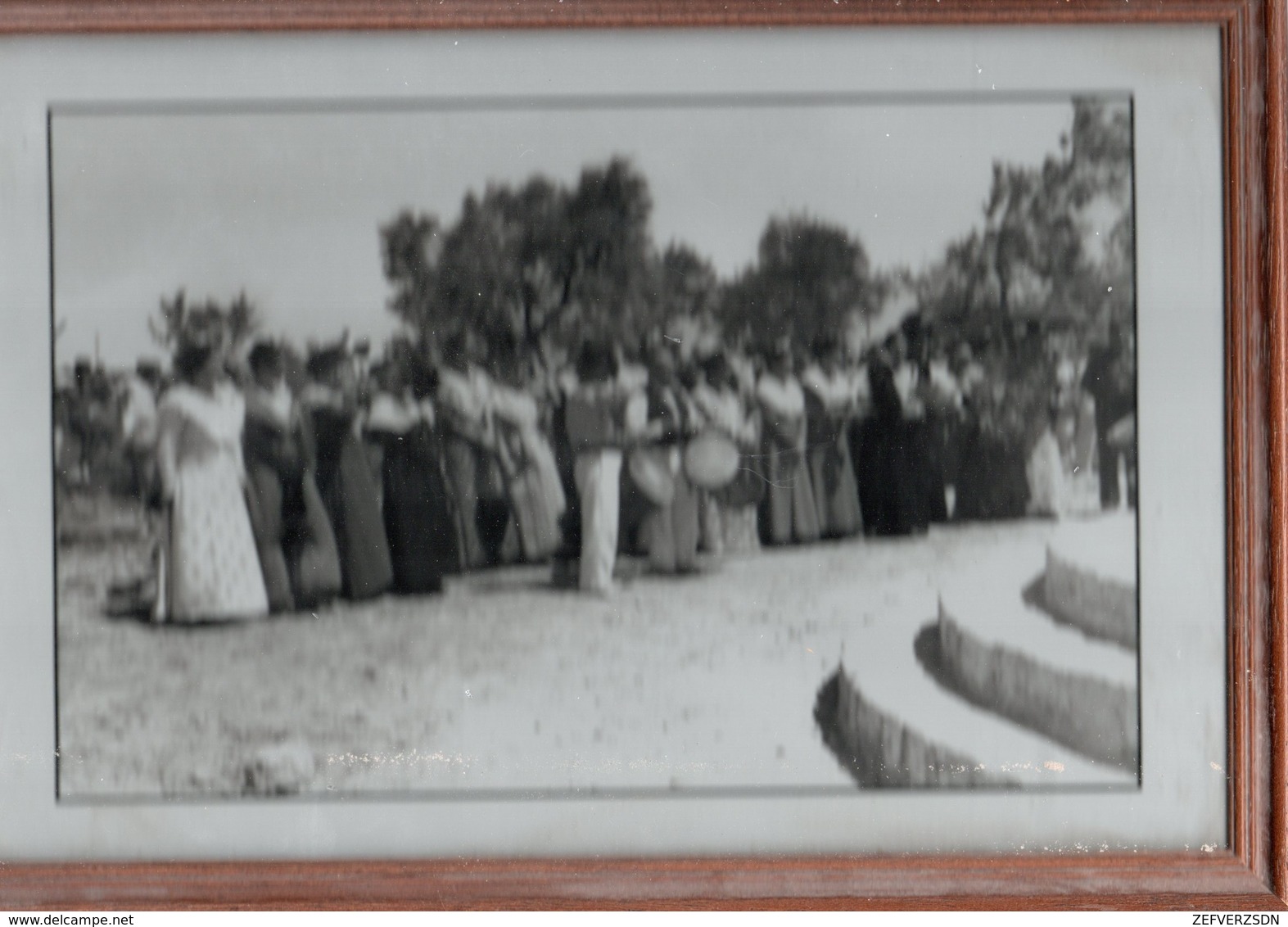 13 STES SAINTES MARIES DE LA MER BARONCELLI GARDIANS PHOTO GEORGE ENTERREMENT ARLESIENNES TAMBOURINAIRES - Autres & Non Classés