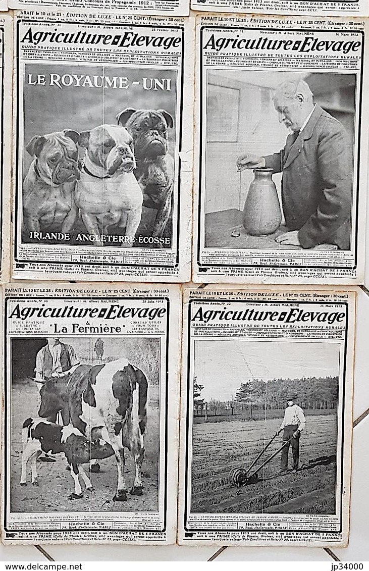 AGRICULTURE - ELEVAGE - 2 Eme Et 3eme Année. LOT 22 DIFFERENTS. Voir Les Scans - Lots De Plusieurs Livres