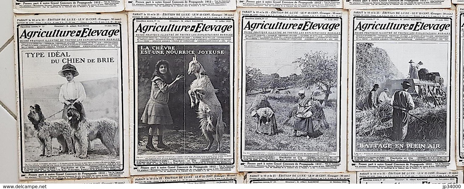 AGRICULTURE - ELEVAGE - 2 eme et 3eme Année. LOT 22 DIFFERENTS. Voir les scans