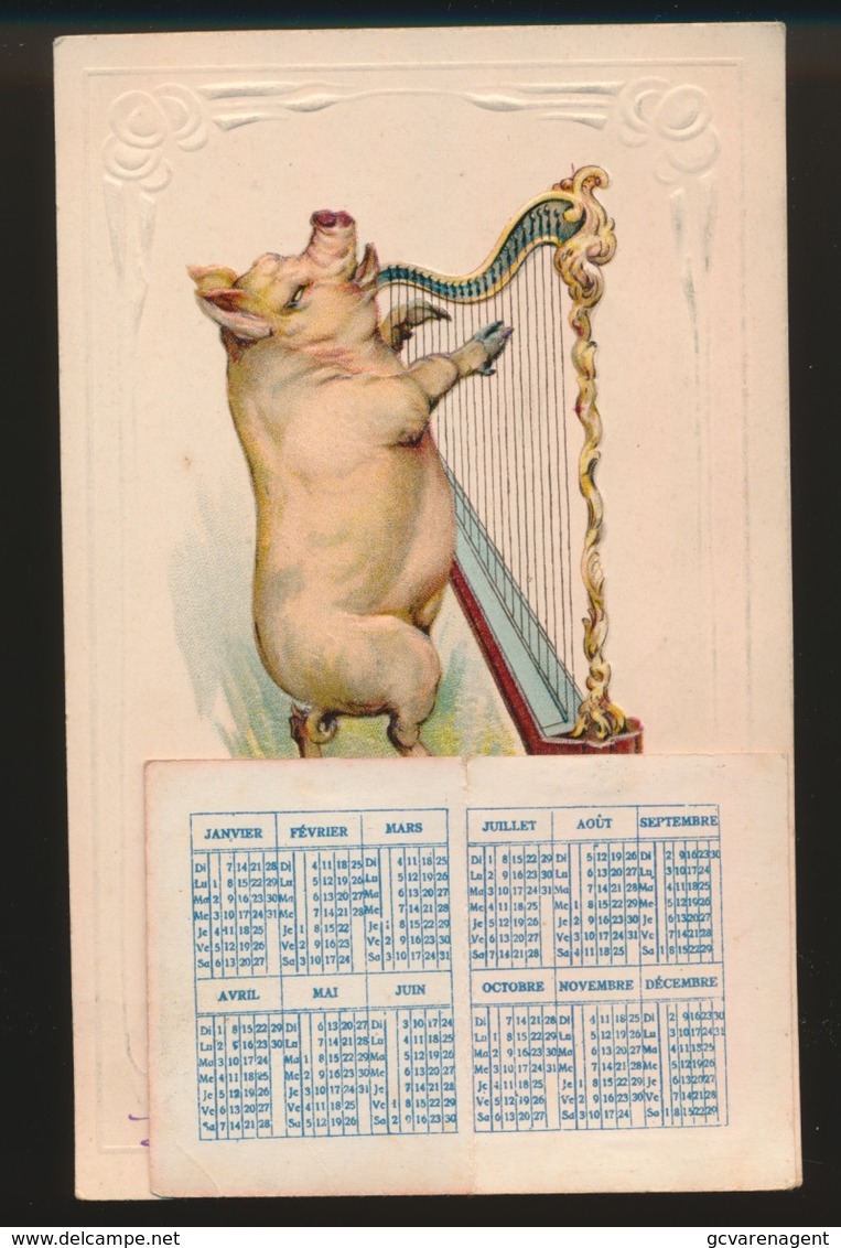 BONNE ANNEE  VARKEN MET HARP + MINI KALENDER 1906    RELIEF   GAUFRE  2 SCANS - Nouvel An