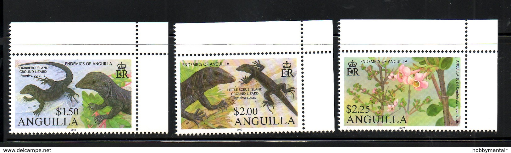 ANGUILLA, 2010,FLOWERS, LIZARDS, 3v. MNH** - Other & Unclassified