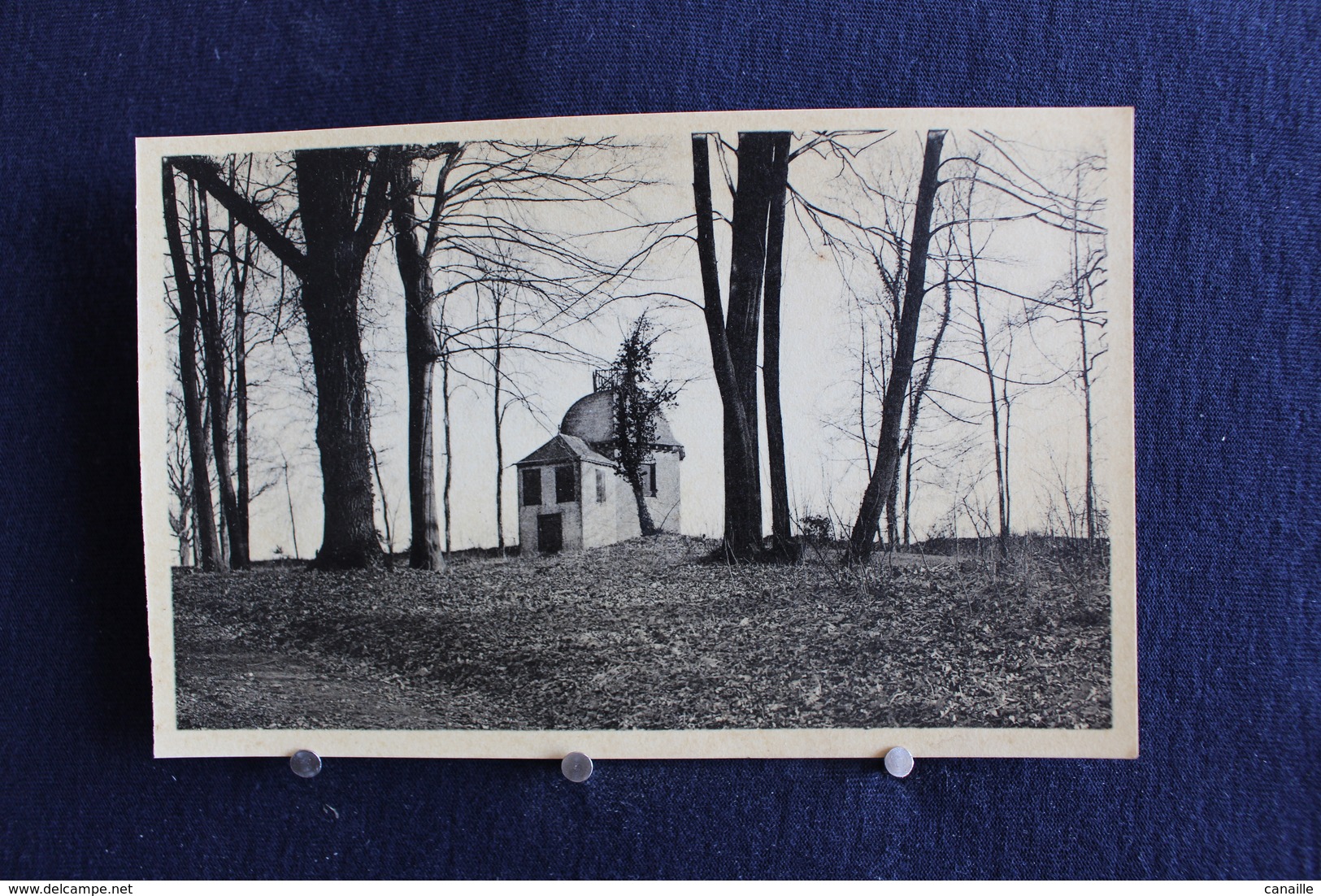 F-198 /  Rijckhoven Bij Bilsen, Het Kasteel Alde Biessen ( N°32 ) - Het Paviljoen In Het Park - Bilzen