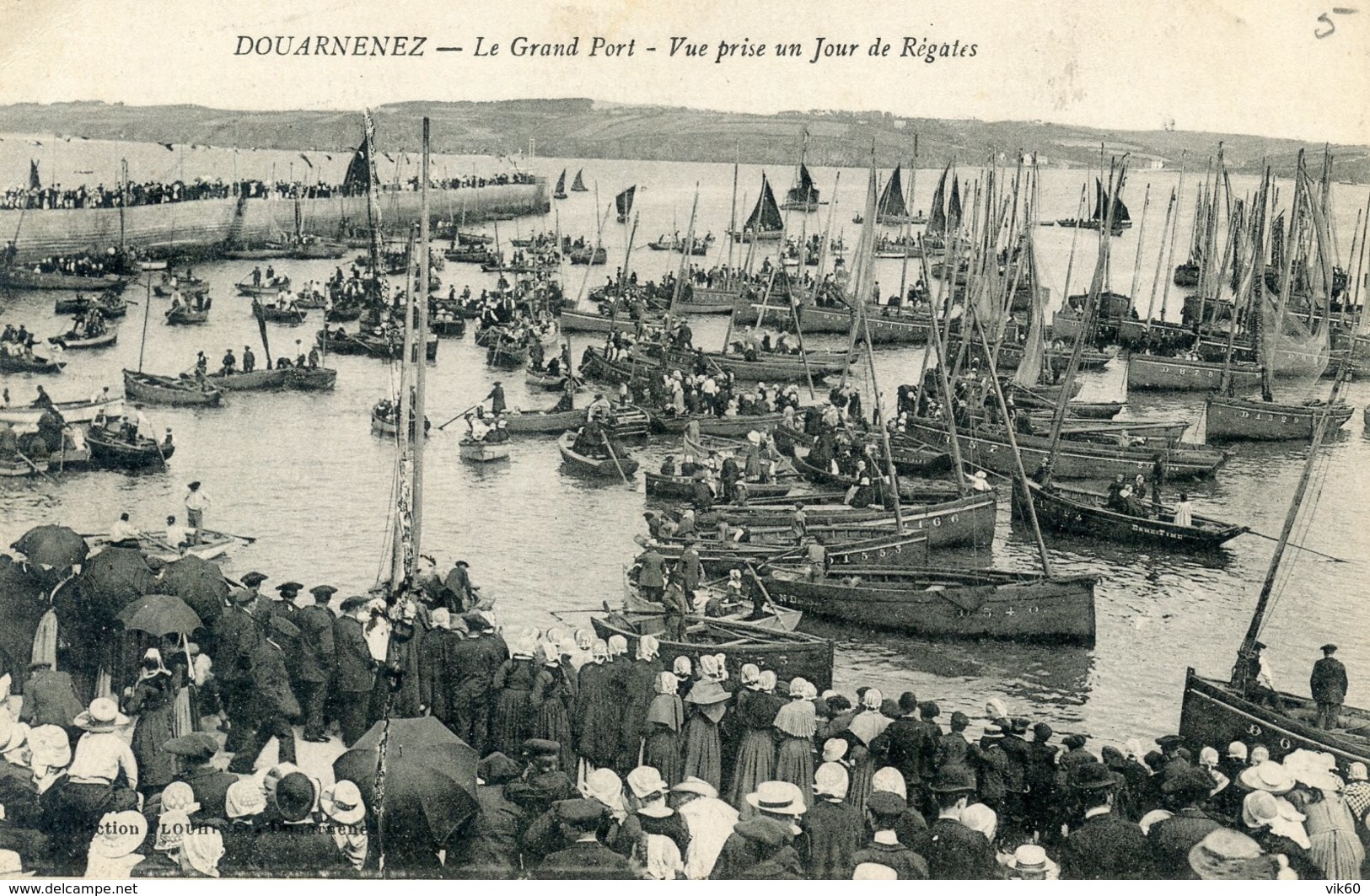 29   DOUARNENEZ    LE GRAND PORT VUE PRISE UN JOUR DE REGATES - Douarnenez