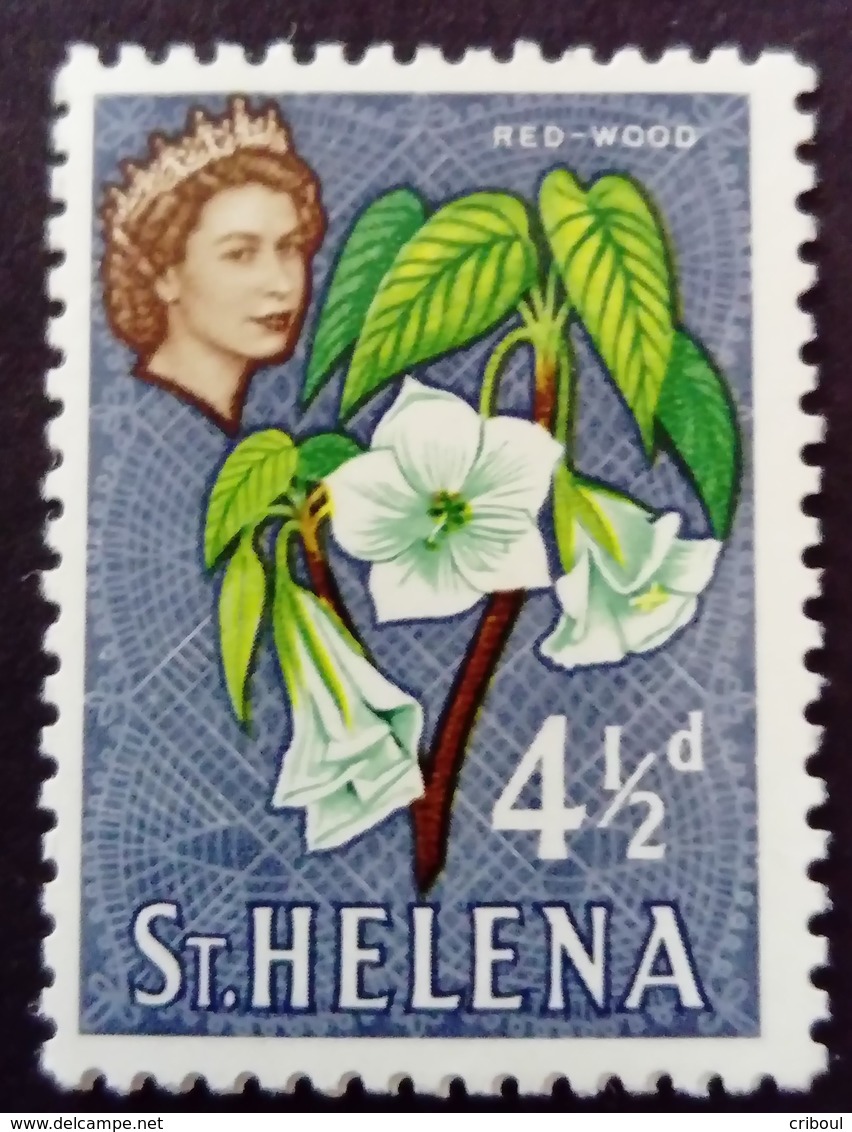 Sainte Hélène St Helena 1961 Fleur Flower Yvert 145 ** MNH - Saint Helena Island