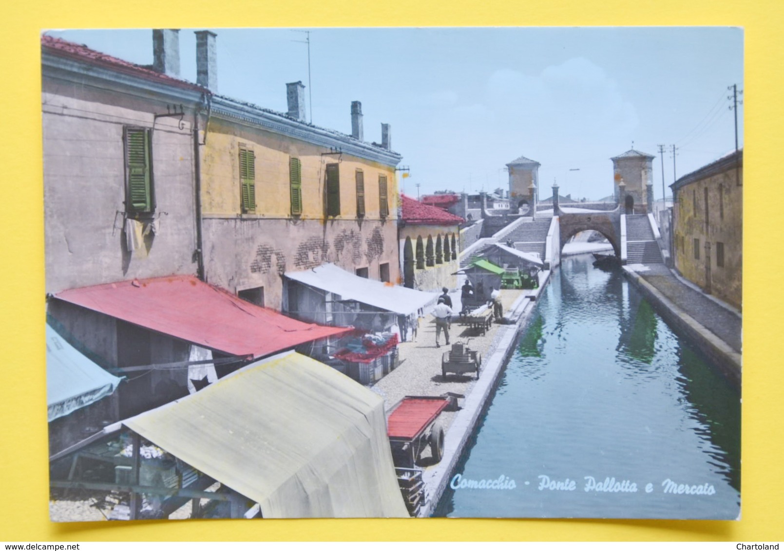 Cartolina Comacchio Ponte Pallotta E Mercato 1965 - Ferrara