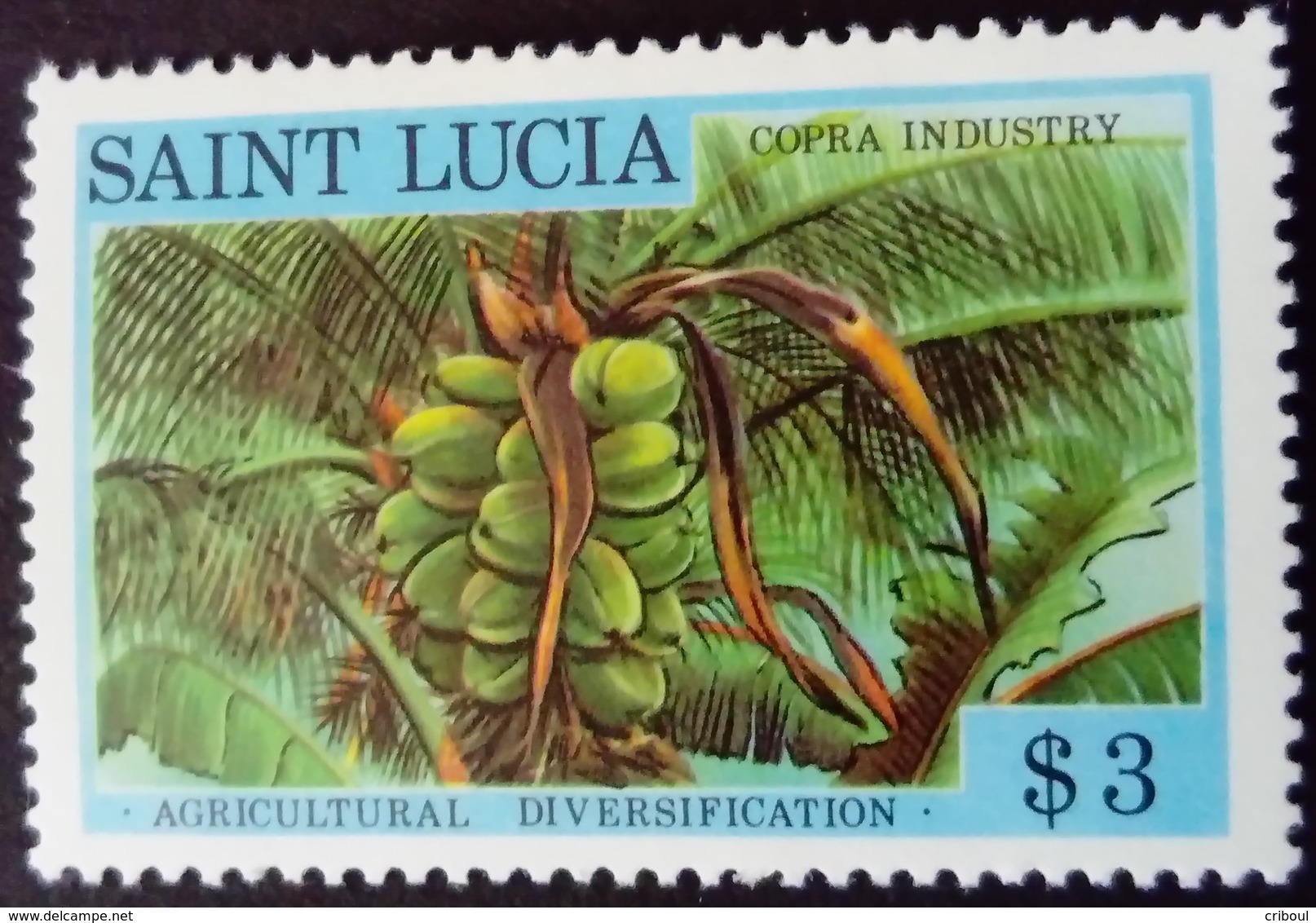 Sainte Lucie Saint Lucia 1979 Agriculture Coprah Yvert 464 ** MNH - St.Lucia (1979-...)