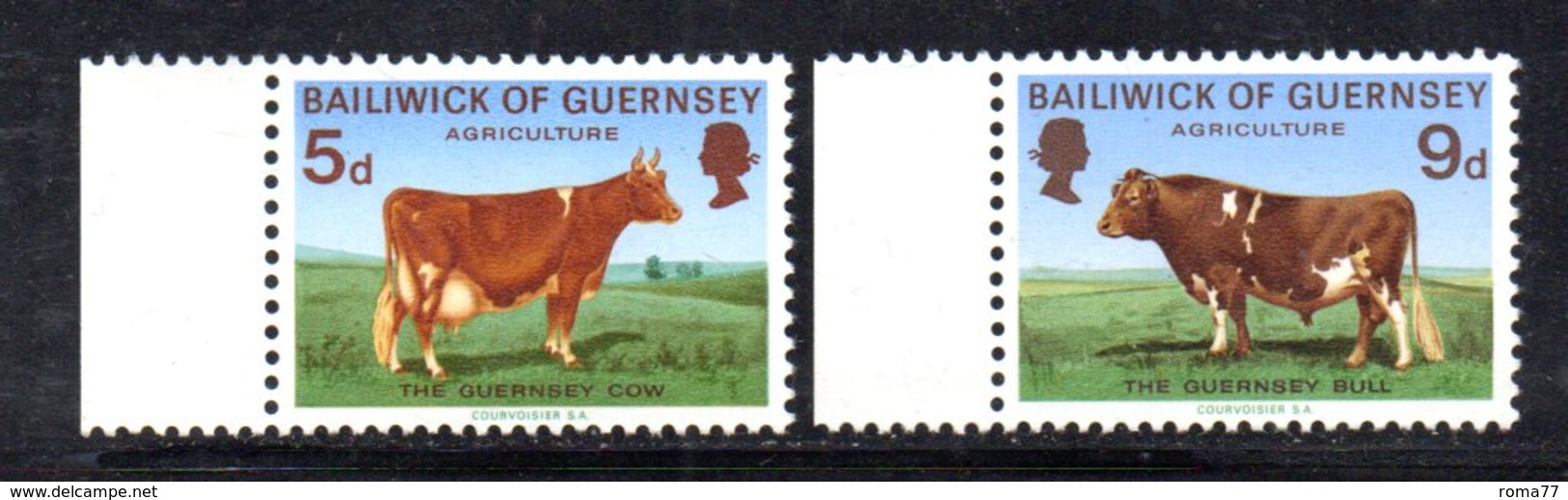 Y221 - GUERNESEY 1970 , I N. 27+28 Mucca E Toro ***  MNH  (2380A) . - Guernesey