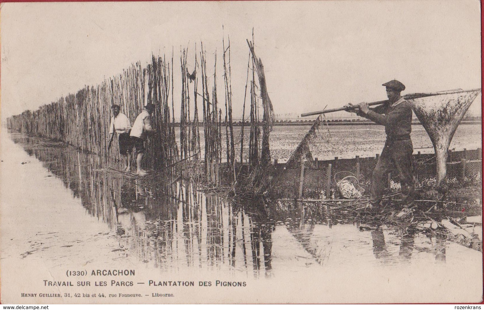 Arcachon - Travail Sur Les Parcs - Plantation Des Pignons - Ostréiculture Huîtres Oestercultuur Oesterkweek - Arcachon