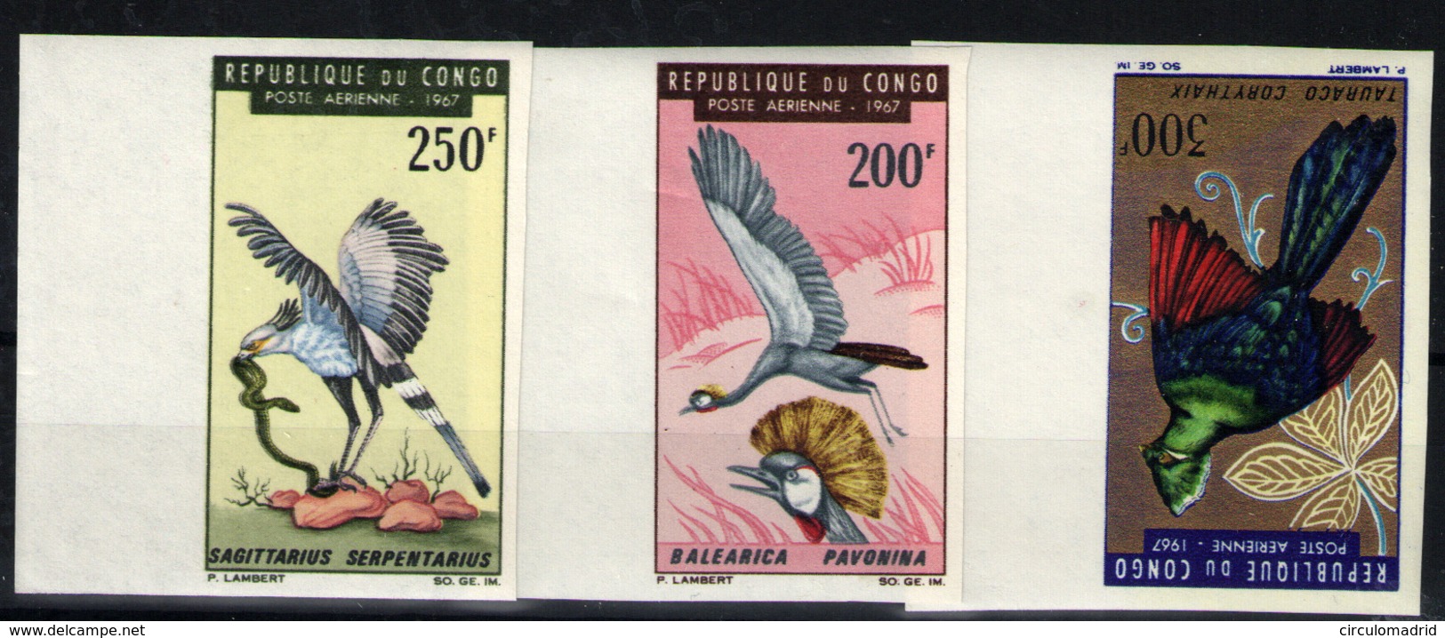 Congo Francés  Nº 51s/53s . Año Nº 1967 - Neufs