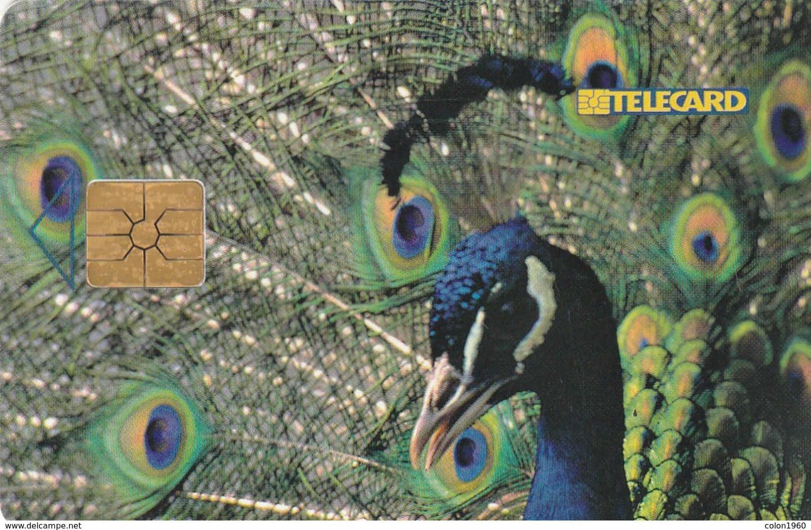 REPUBLICA CHECA. Peacock - PAVO REAL. C243A, 39/08.98. (176). - Other & Unclassified