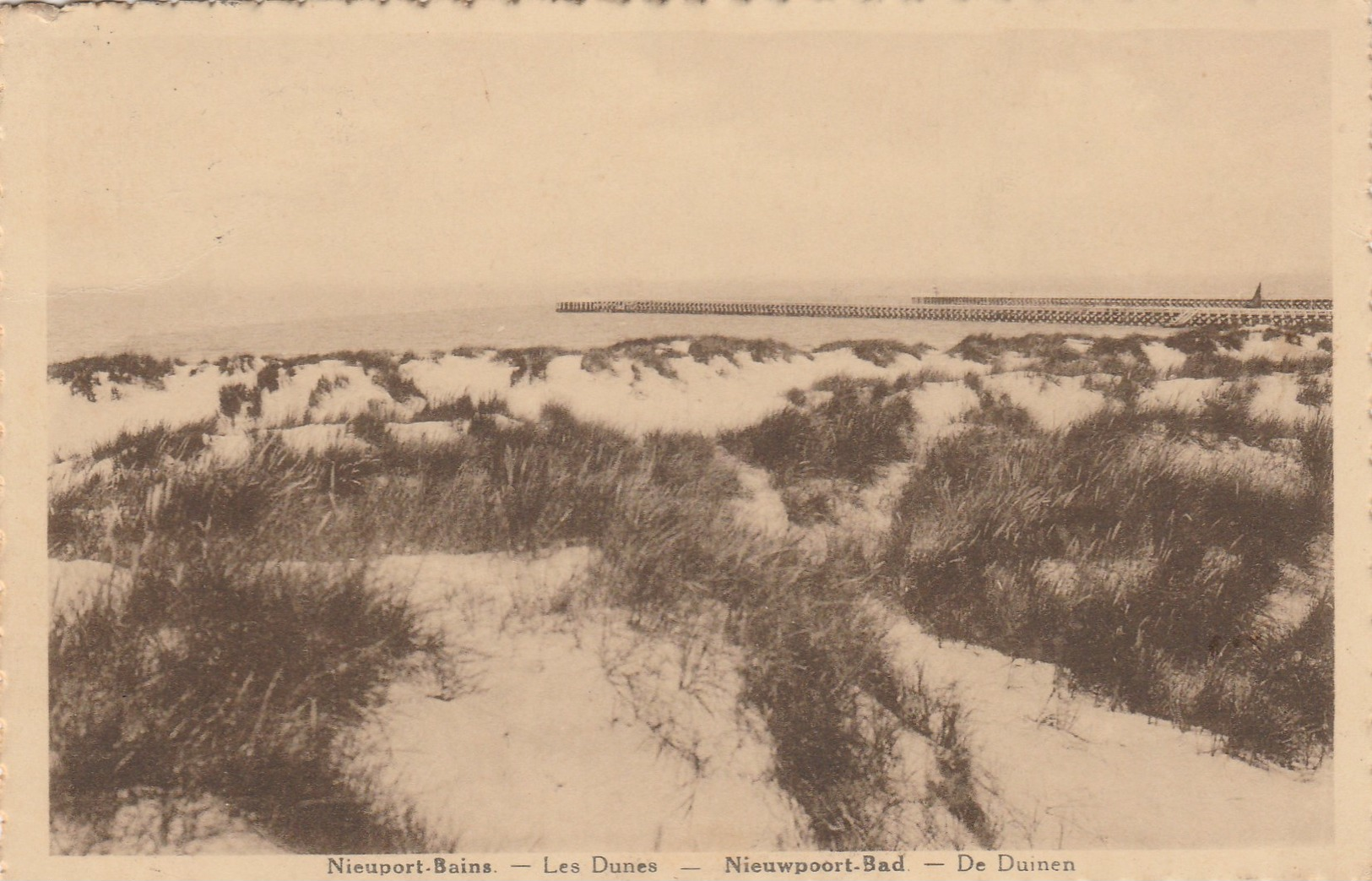 Nieuport Bains , Nieuwpoort Bad , : Les Dunes , De Duinen - Nieuwpoort