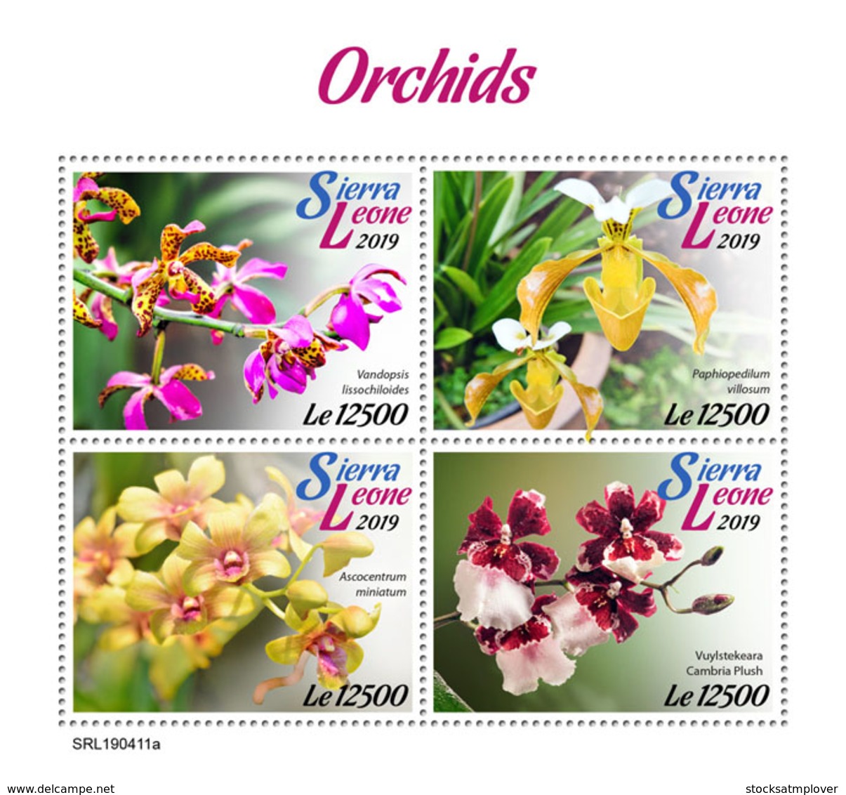 Sierra Leone 2019     Orchids    S201904 - Sierra Leone (1961-...)