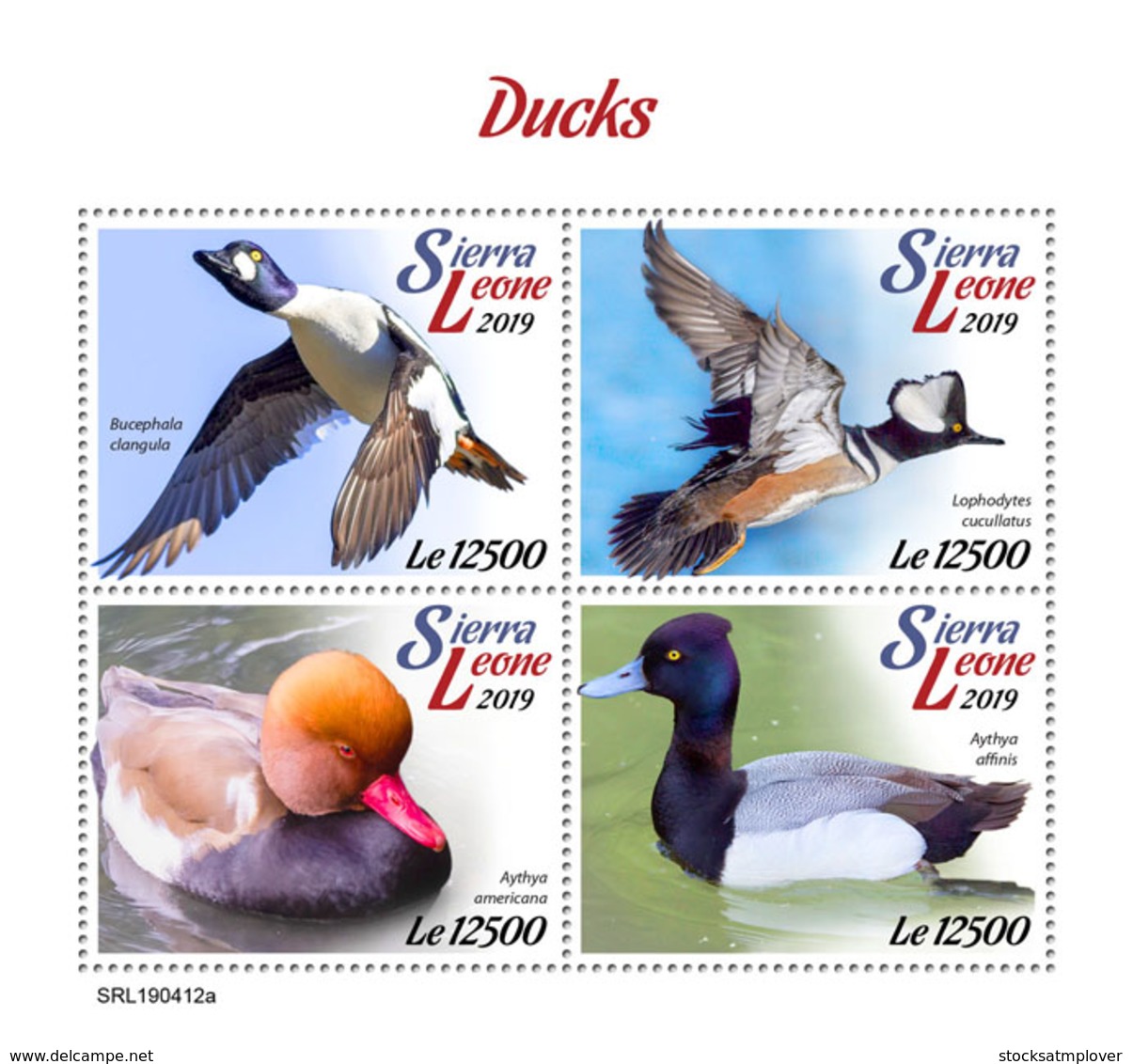 Sierra Leone 2019   Fauna  Ducks     S201904 - Sierra Leone (1961-...)