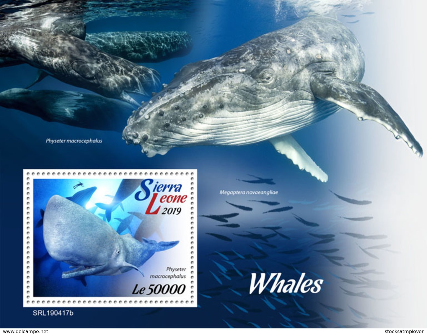 Sierra Leone 2019    Fauna Whales   S201904 - Sierra Leone (1961-...)