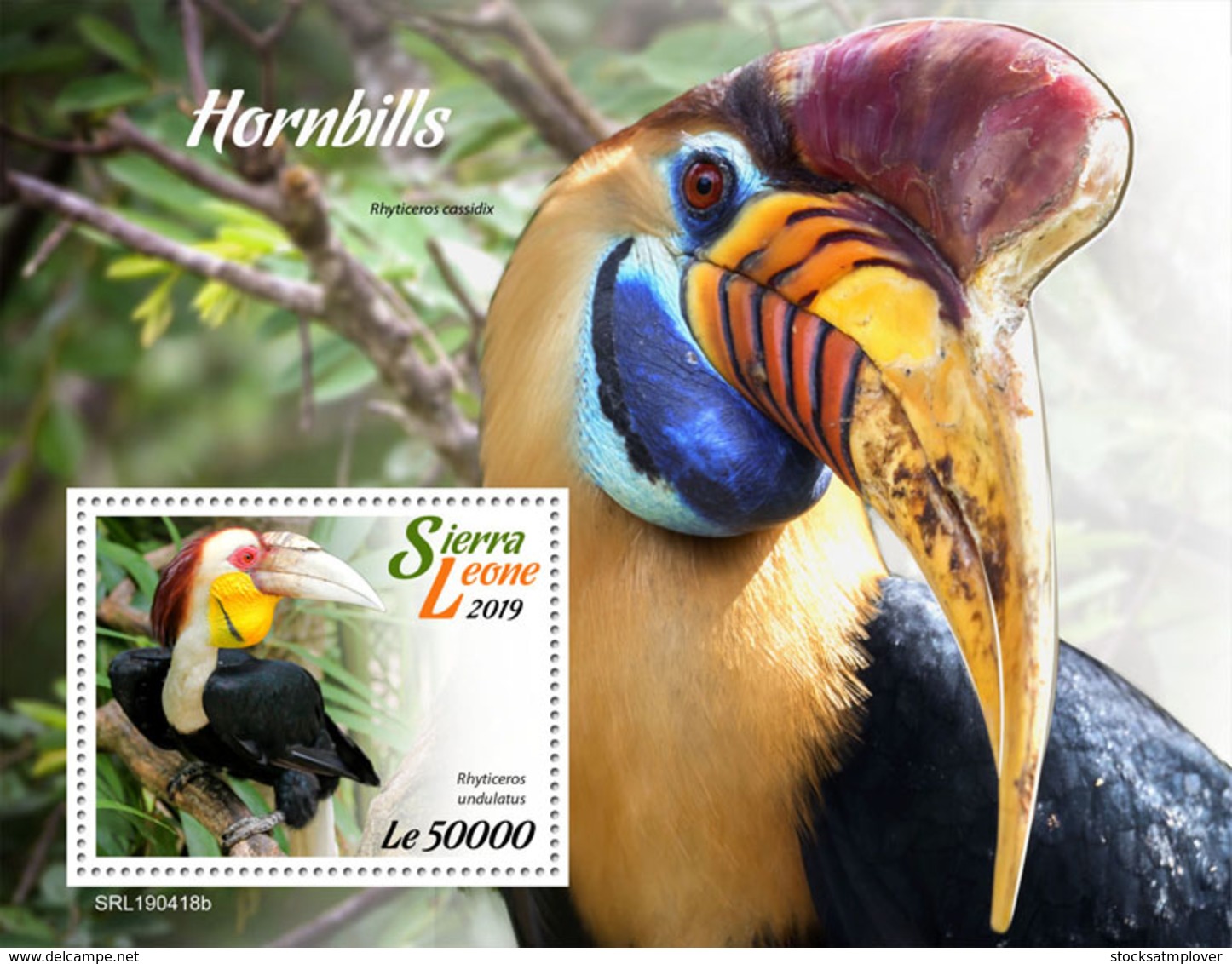 Sierra Leone 2019    Fauna  Hornbills    Birds  S201904 - Sierra Leone (1961-...)